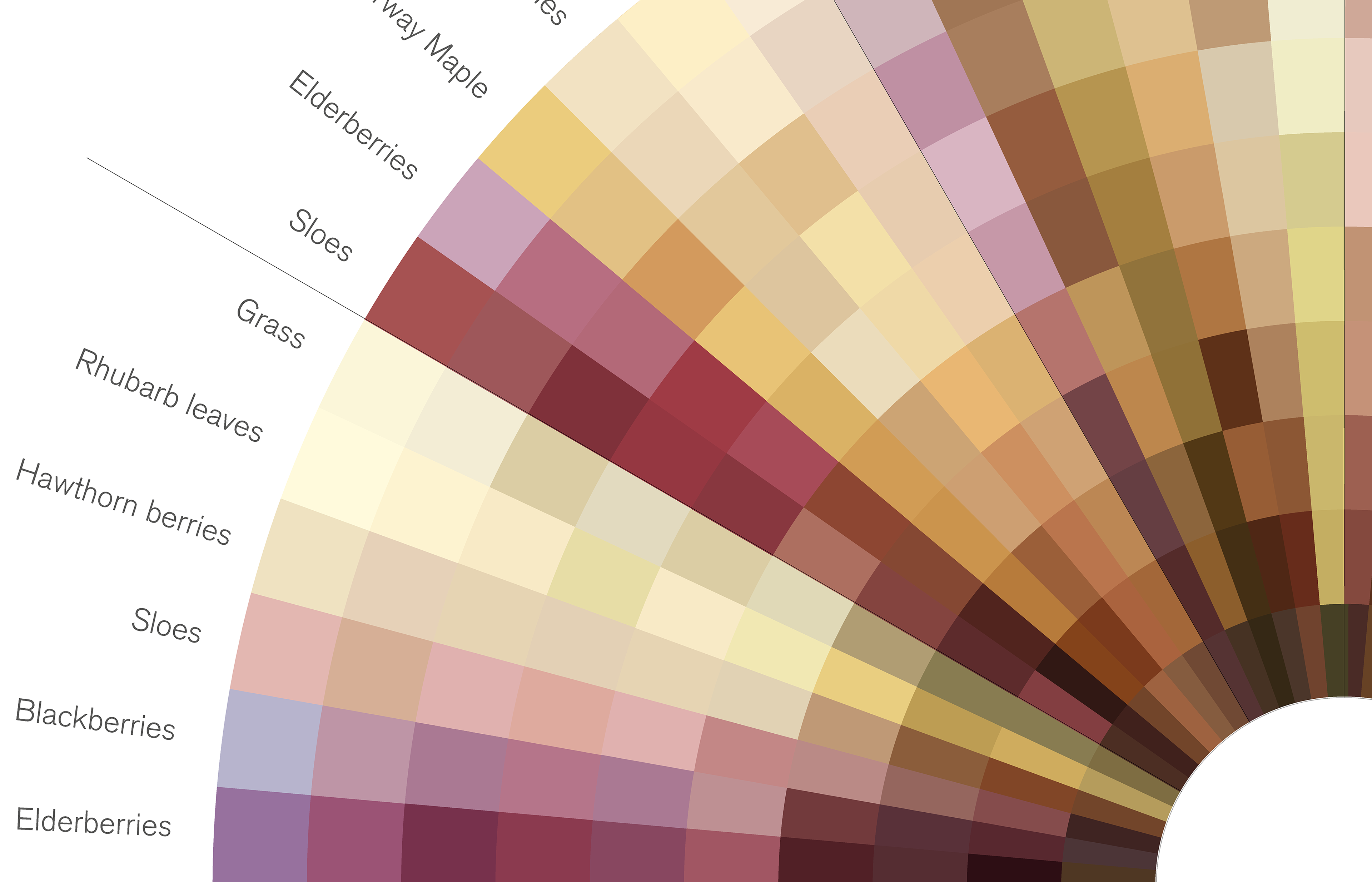 HEJ Colour wheel