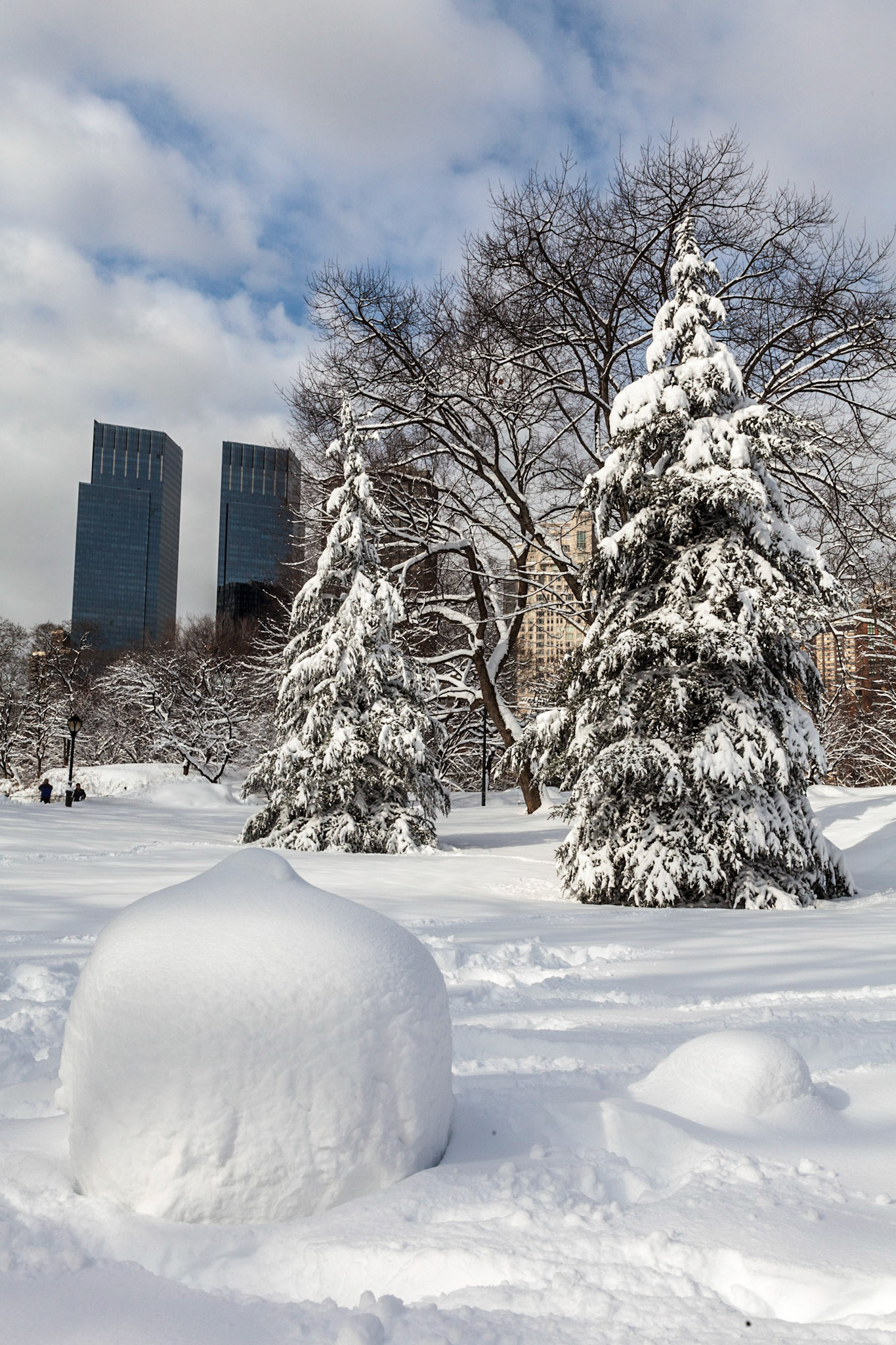Morning after a blizzard in the southern part of Central Park