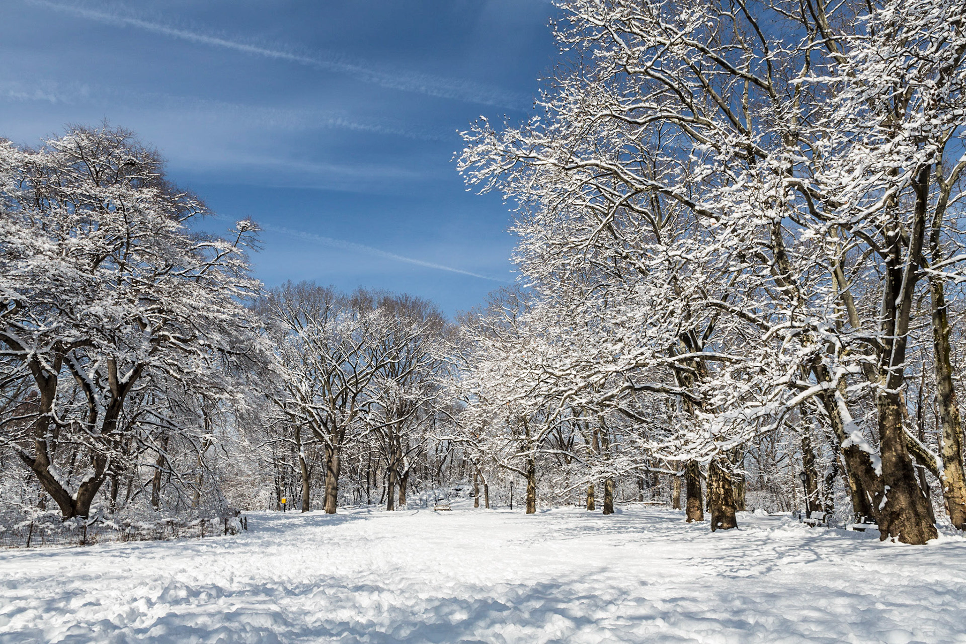 Central Park after a snowstorm in January 2014