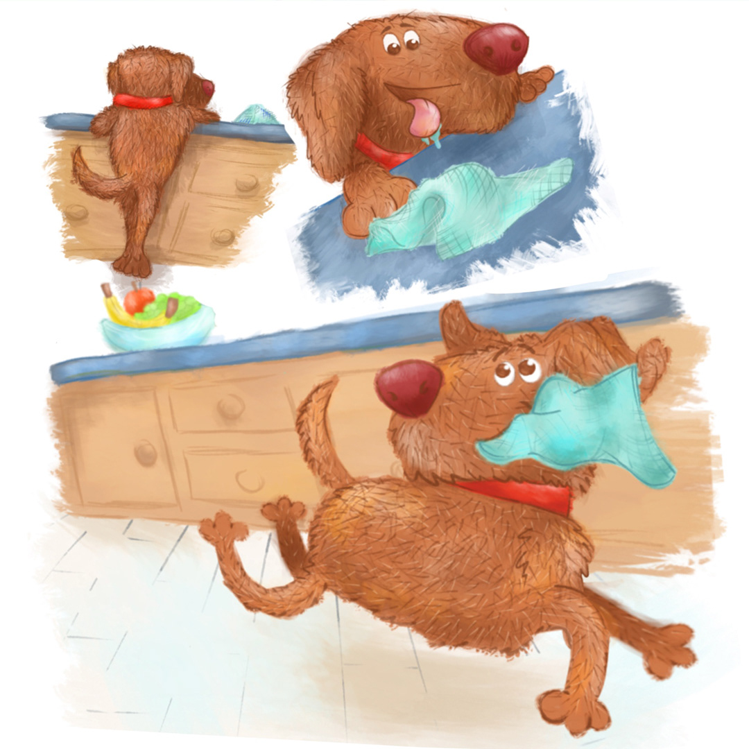The Tea Towel Thief (Dish Cloth)