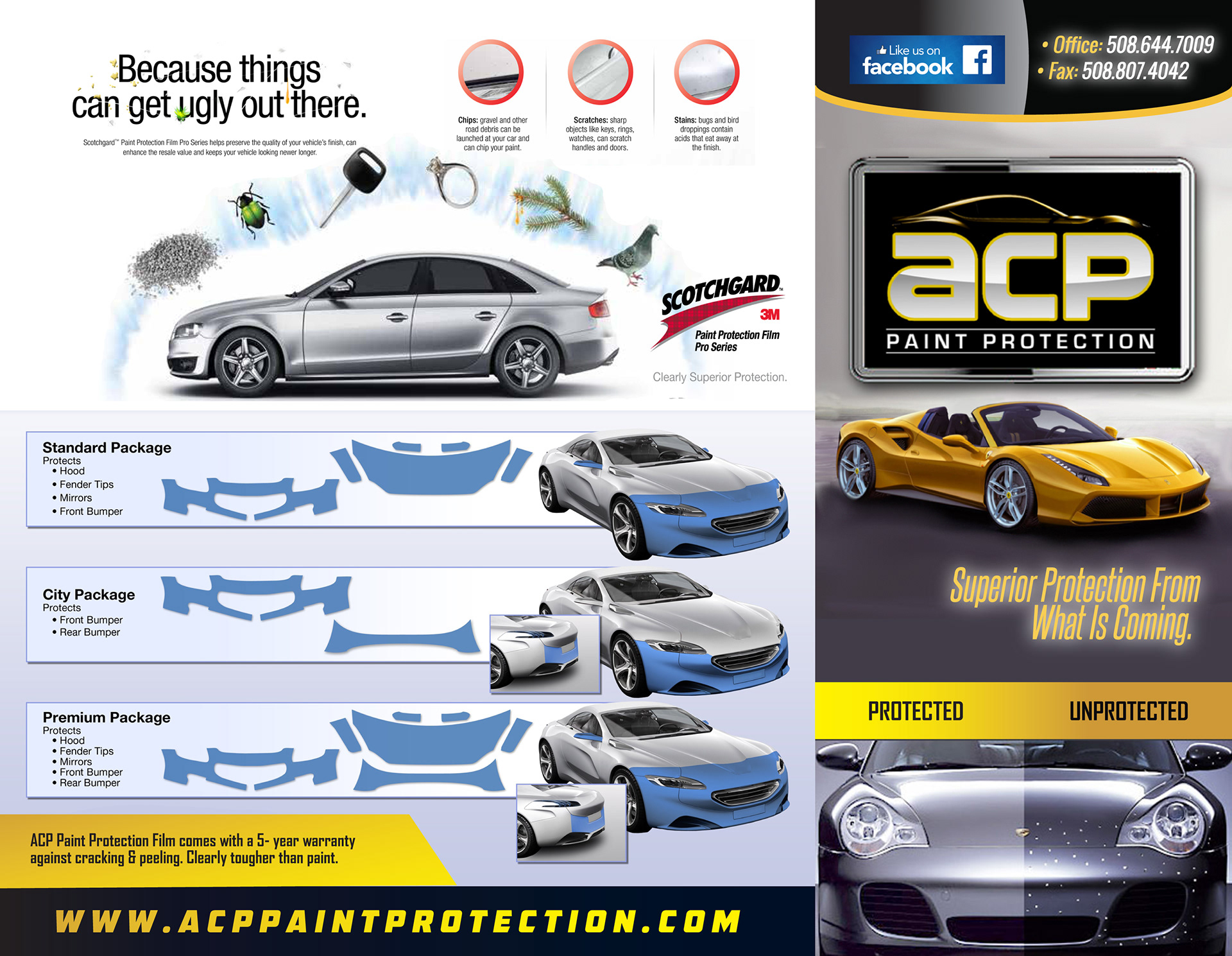 Mike Hsueh Portfolio Acp Paint Protection