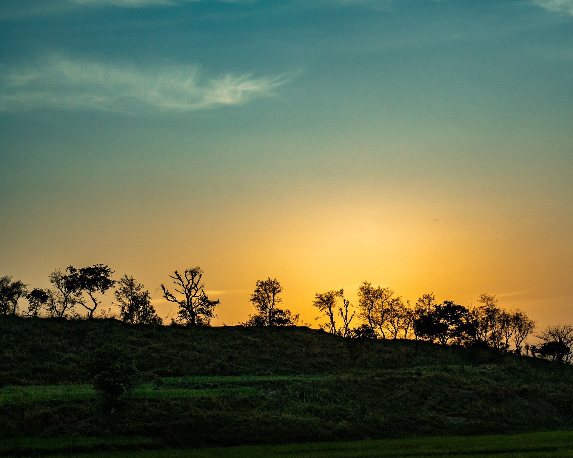 As the sun posts its "Out For The Night" board, crickets jump out all over the place blowing their raucous trumpets everywhere, birds come home to roost and even the most hardworking insects turn in for the night.

It’s now that the change of guard happens with the straggly trees at the ridgeline becoming the sentries for the night.