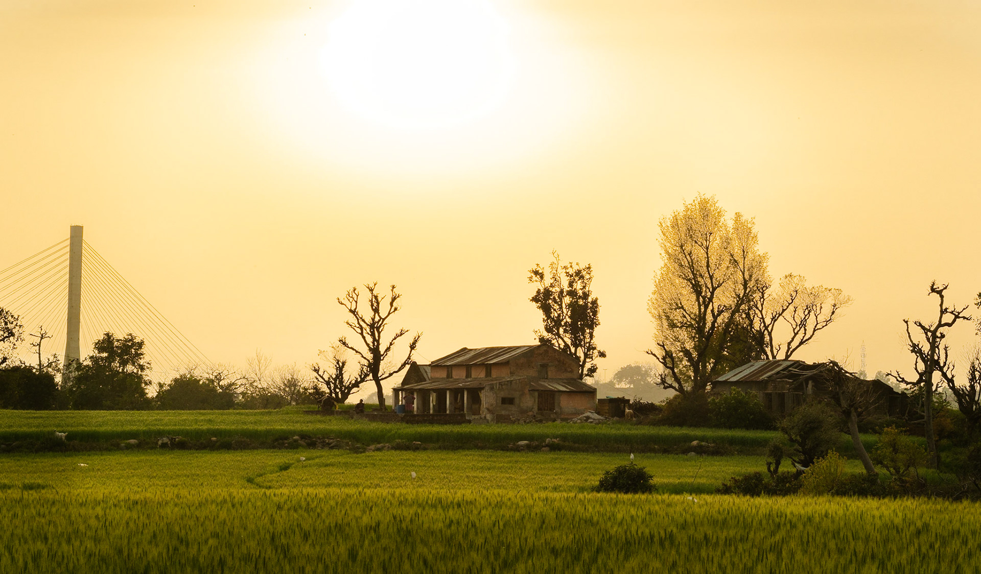 This picturesque house and farm were conquered from a rocky hill. Took 3 years.

Atop an arid, impenetrable, stony hulk of land, each inch of land must've been hard fought and won.

Today, the entire family lives off the land.

So when the going seems tough - always lean on the future.