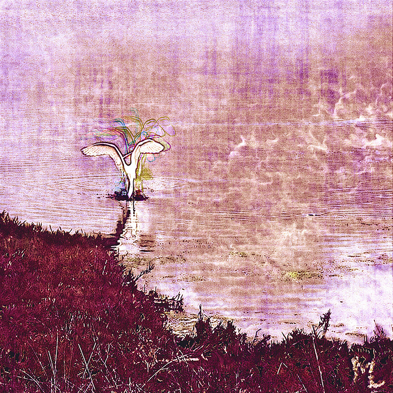 Smoke on the Water
