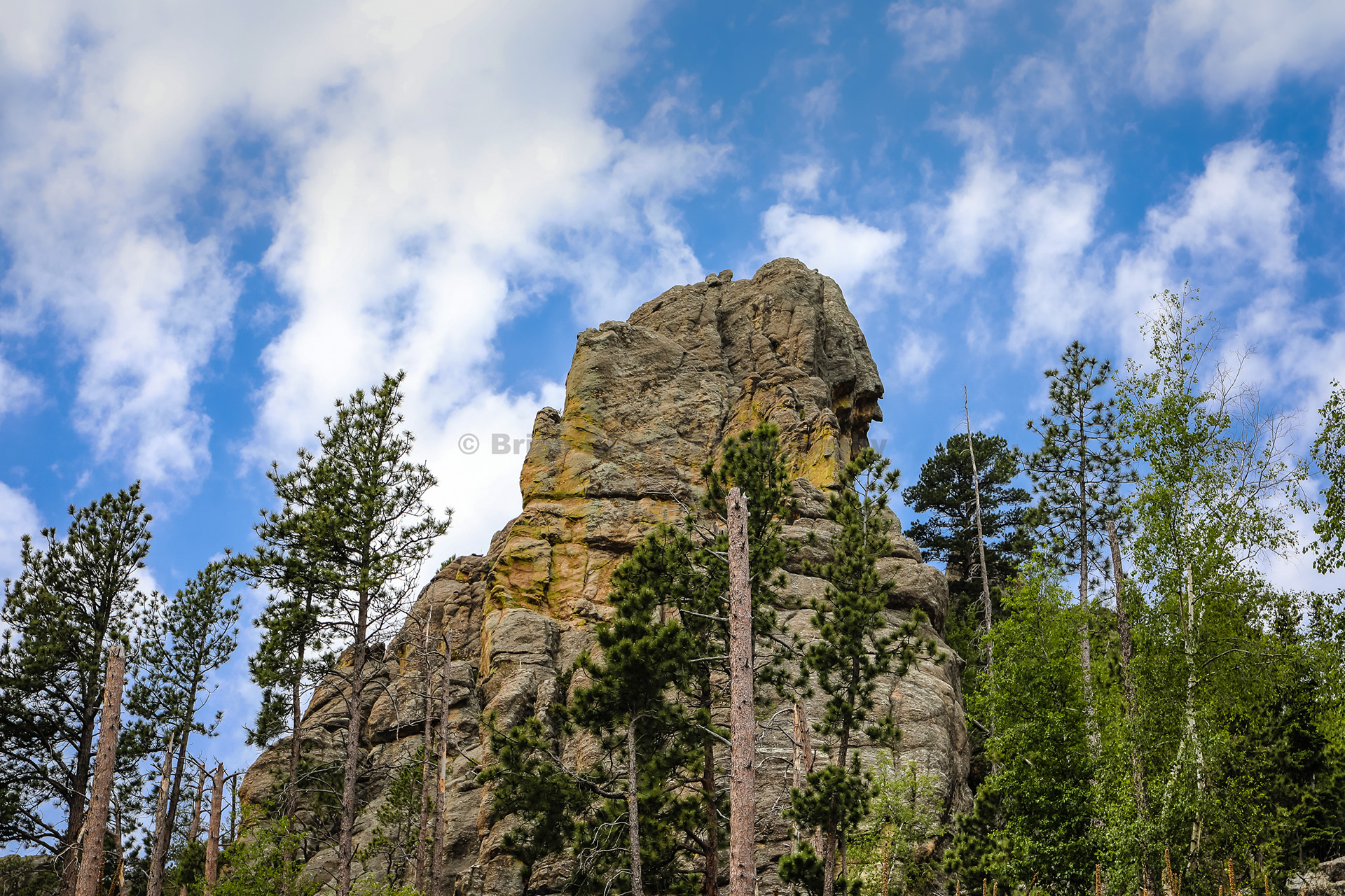 Brian Girard - bogart9995 - Custer State Park - South Dakota