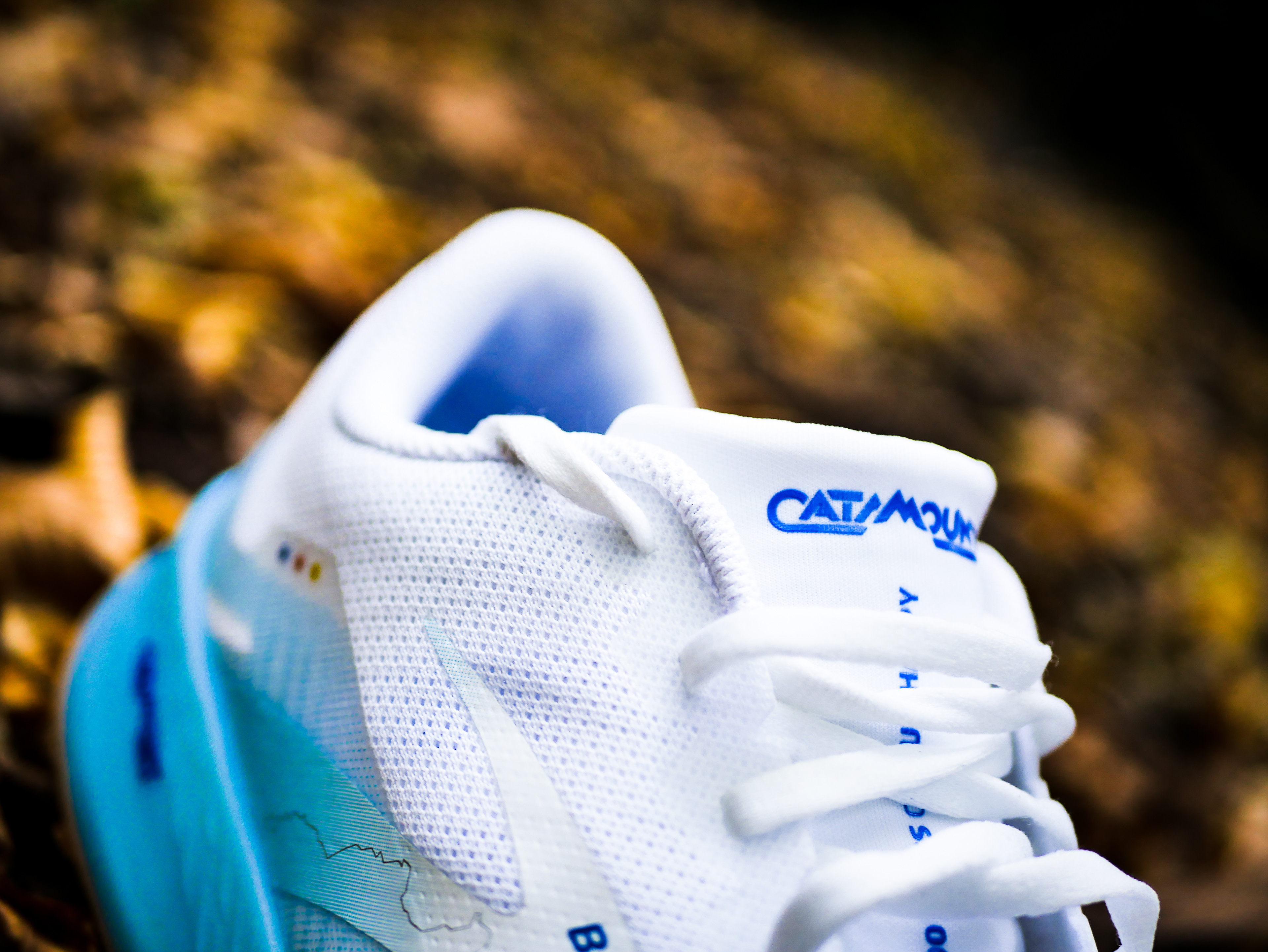 Catamount