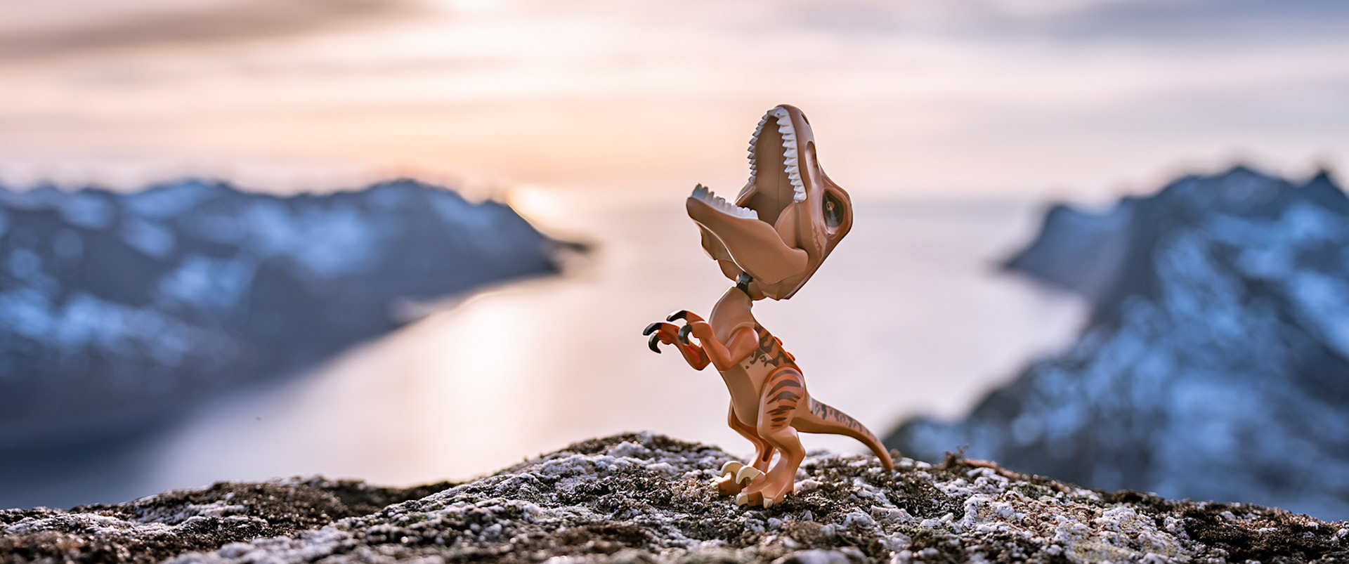 29/52 - The challenge with T-Rap: Balance