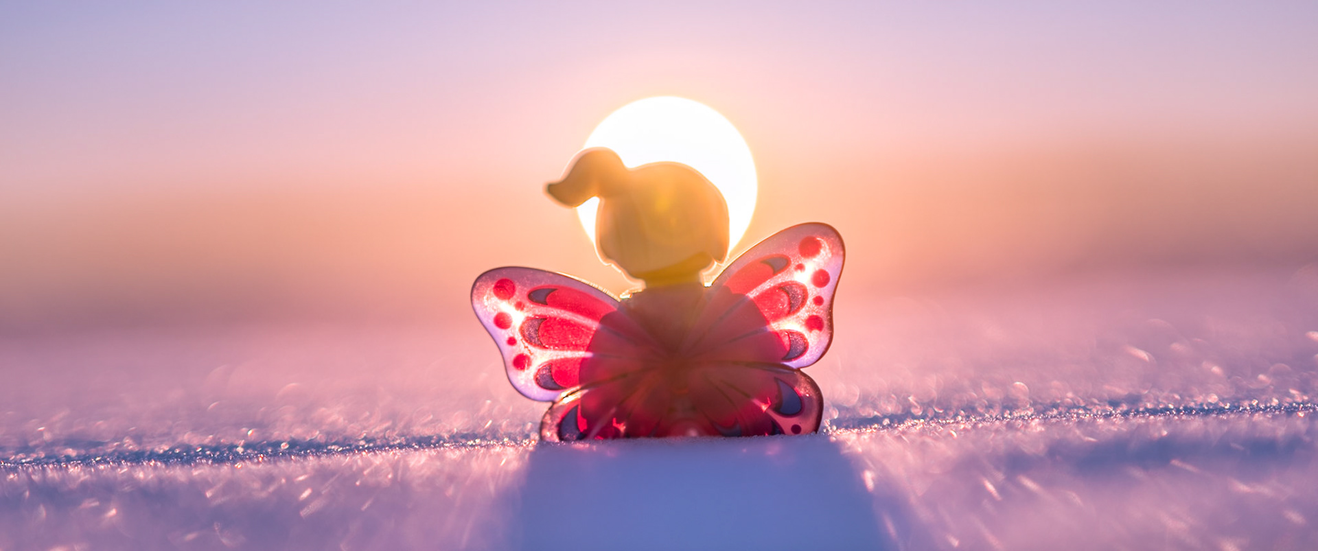 24/52 - The Hope that the sun will come back