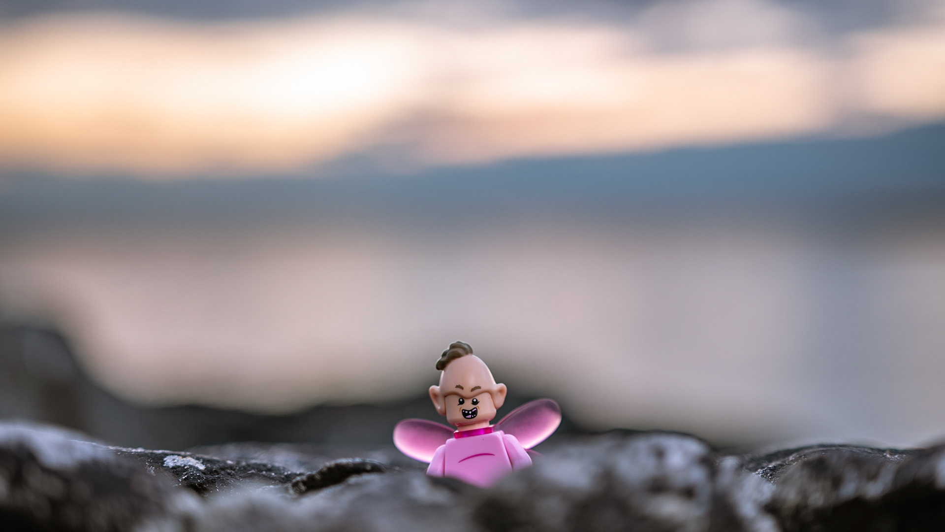 50/52 - (Un)Intelligence, when you just feel lost like an idiot