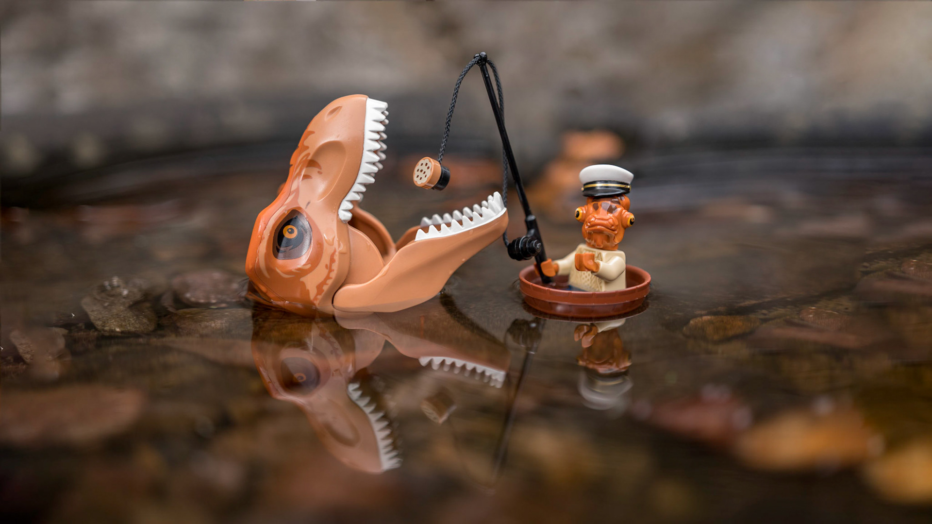 31/52 - The Achievement of catching Nessy