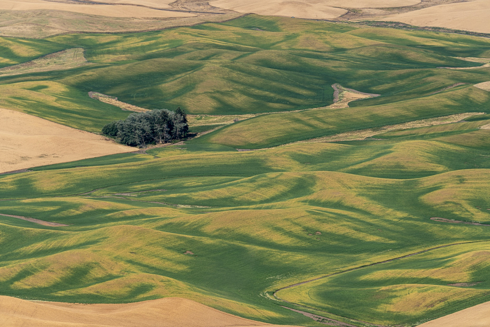 Steptoe Butte WA