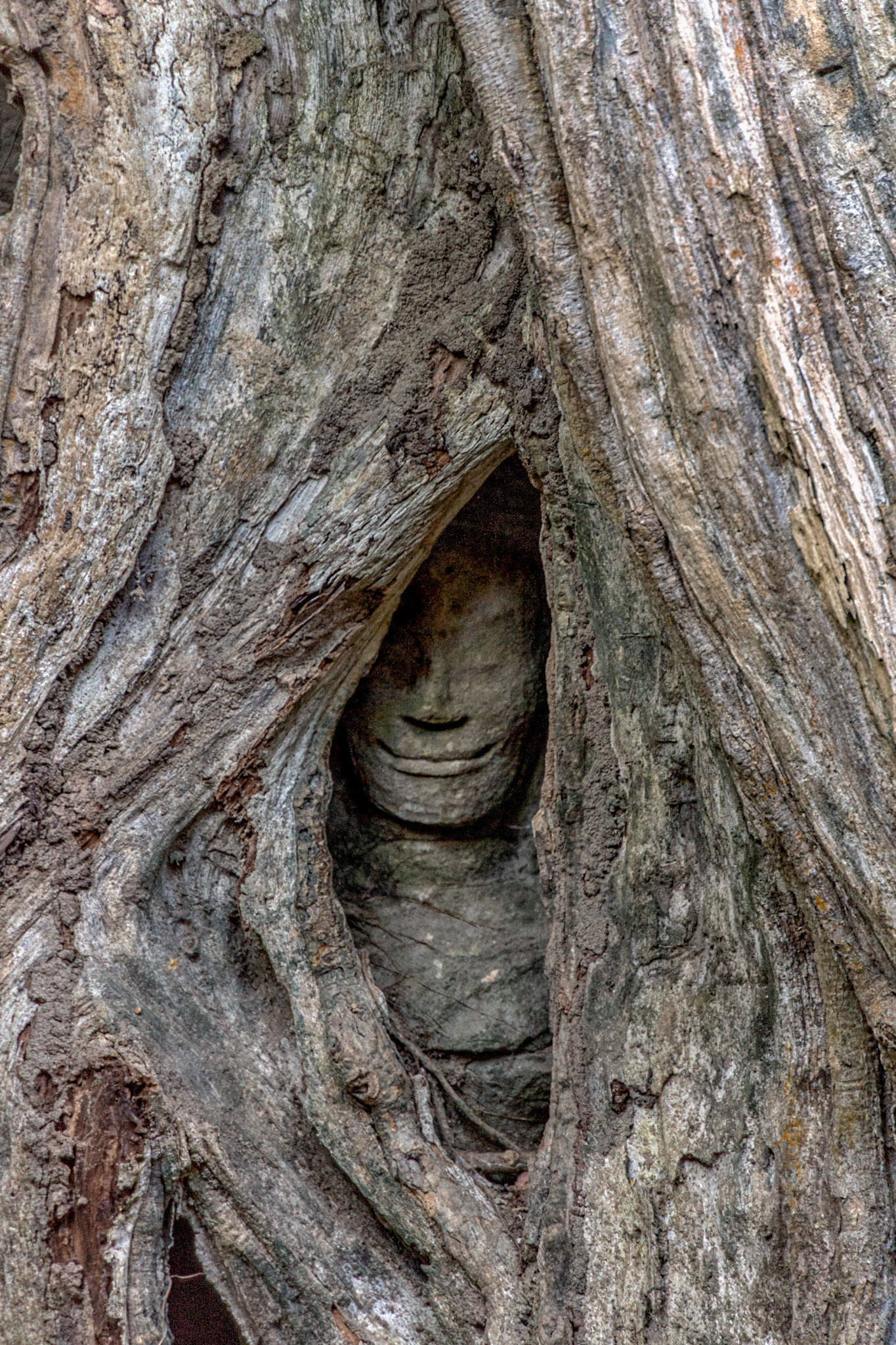 Angkor Wat