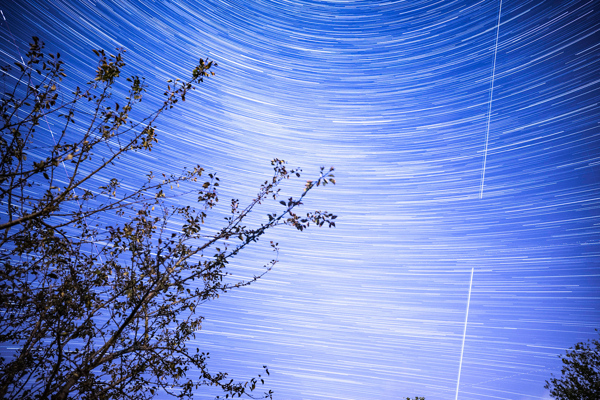 Who says you can't do star trails in your back yard?