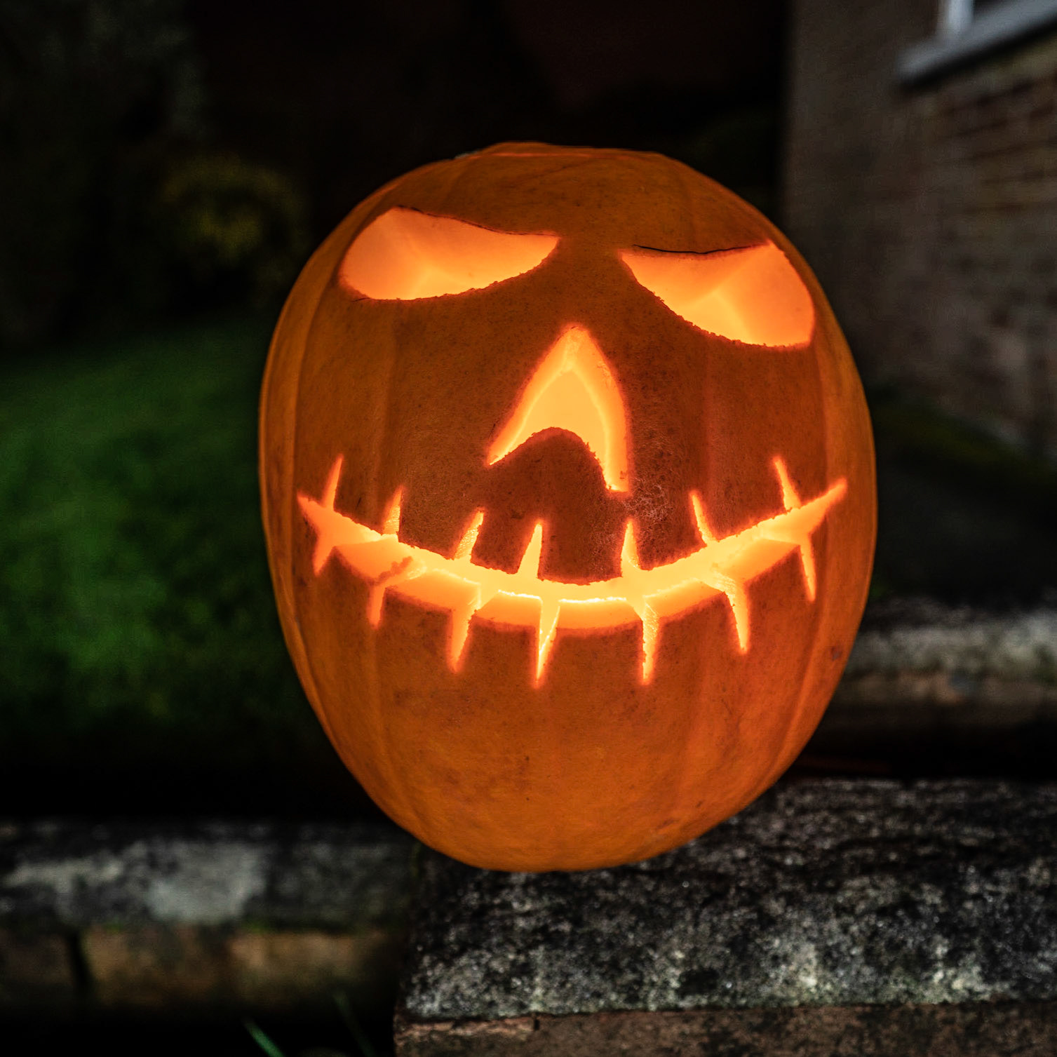 Pumkin carving done for another year