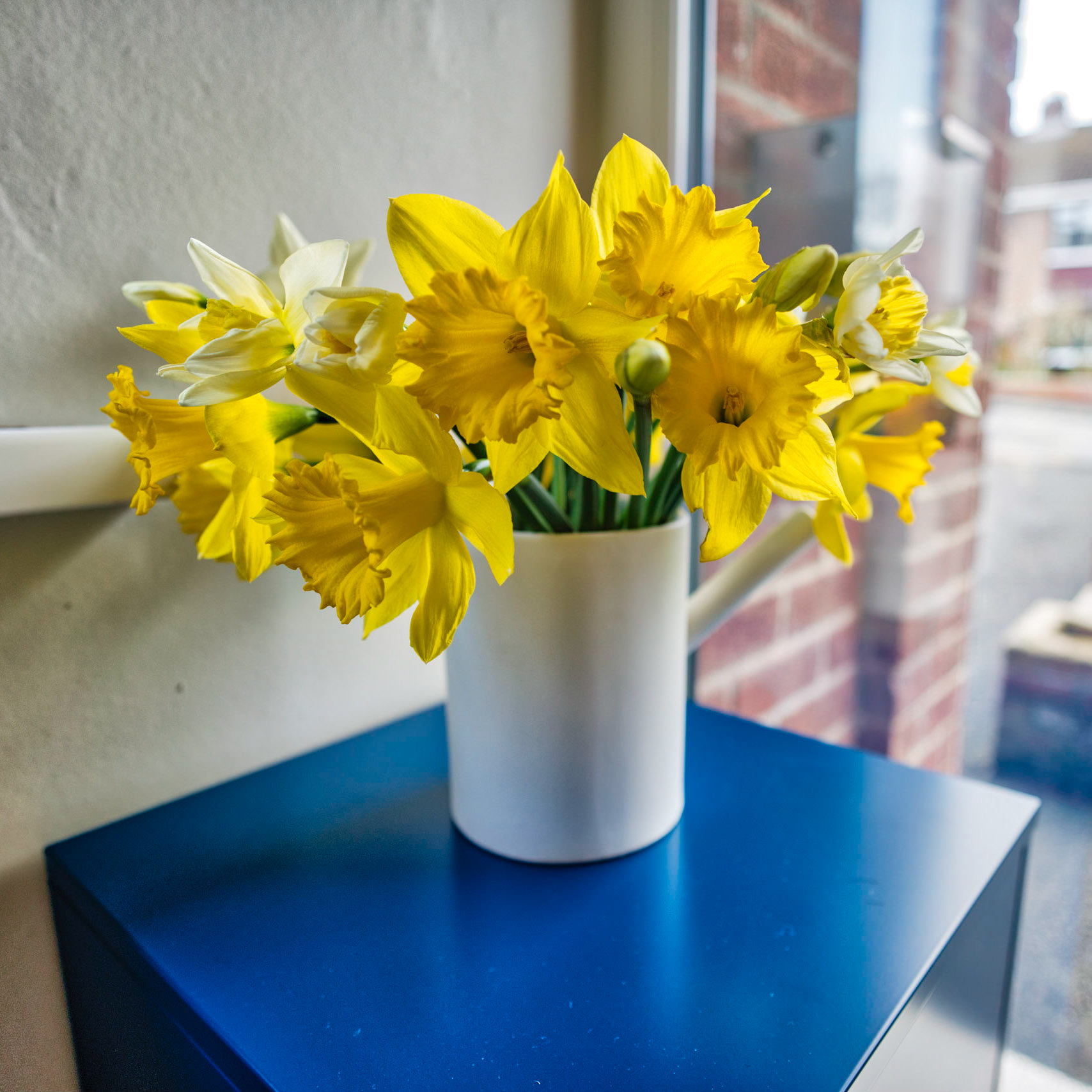 Some nice daffodils at the front door