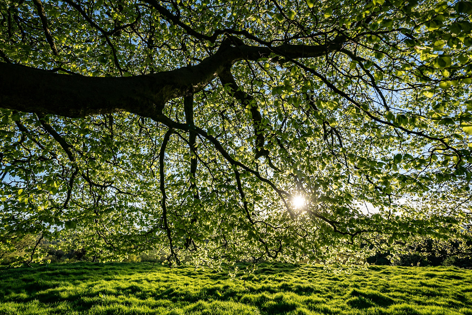 How could I not photograph this amazing scene?