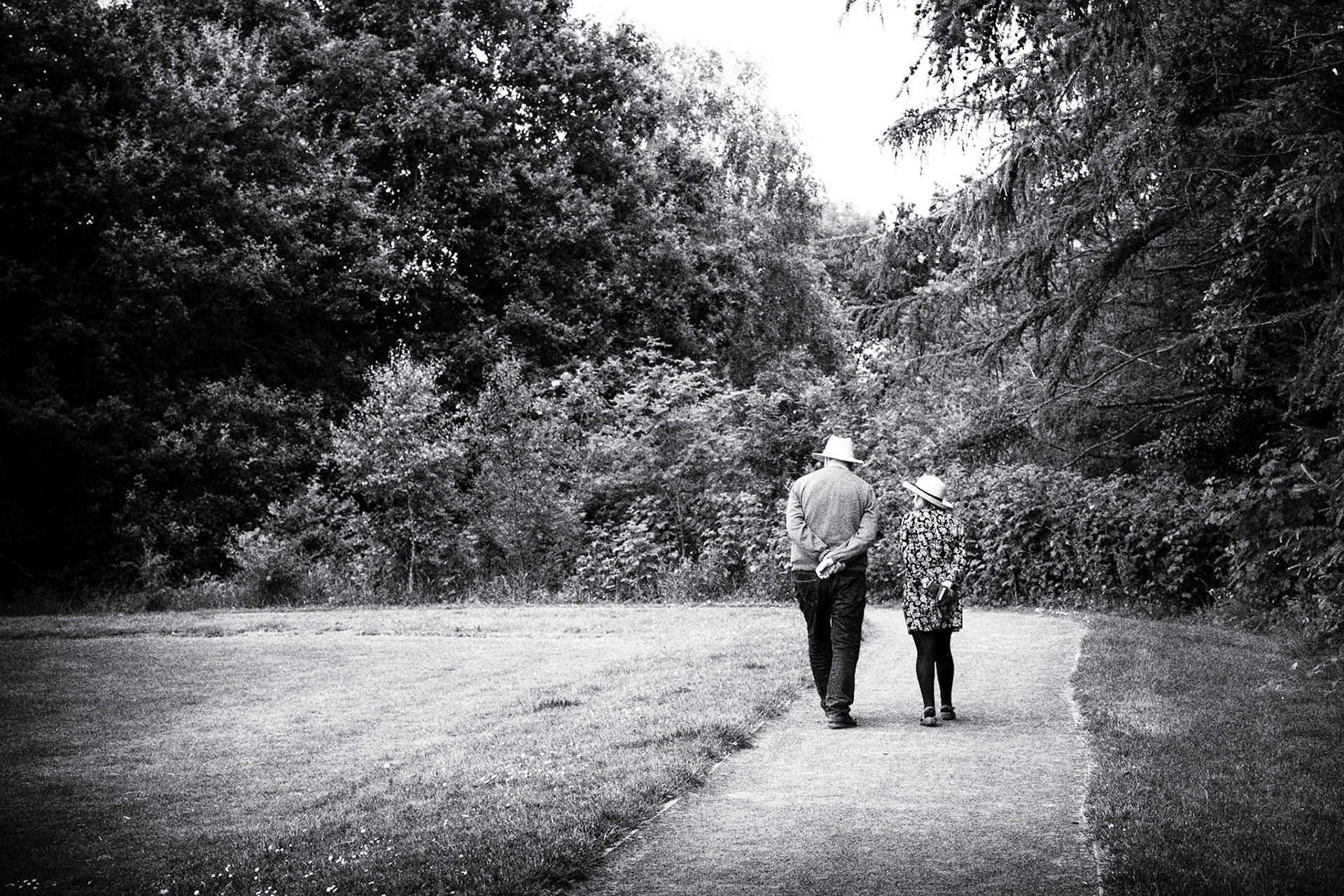 Lovely evening for a walk