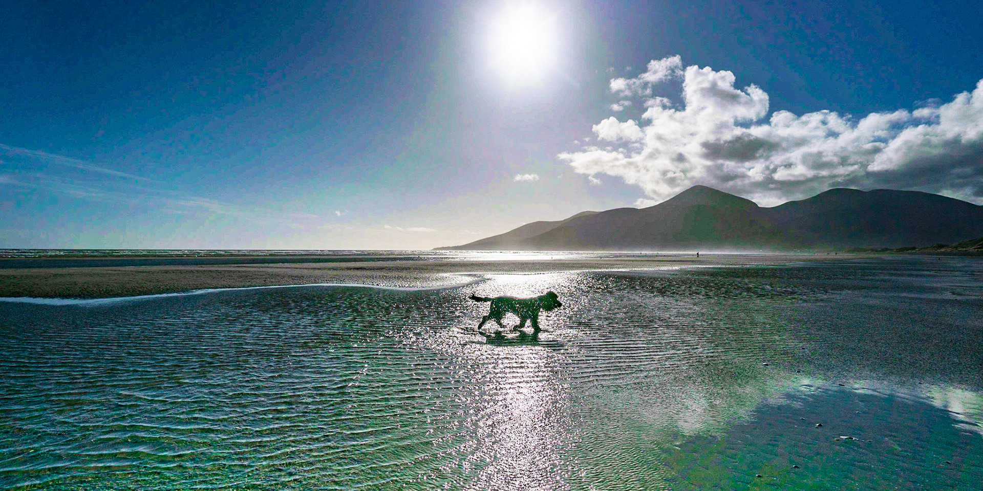 Quick drive down the coast to Mulough Bay Nature Reserve. What a day! The sun was so bright and this location is just beautiful. There will be more photos from here later in the year