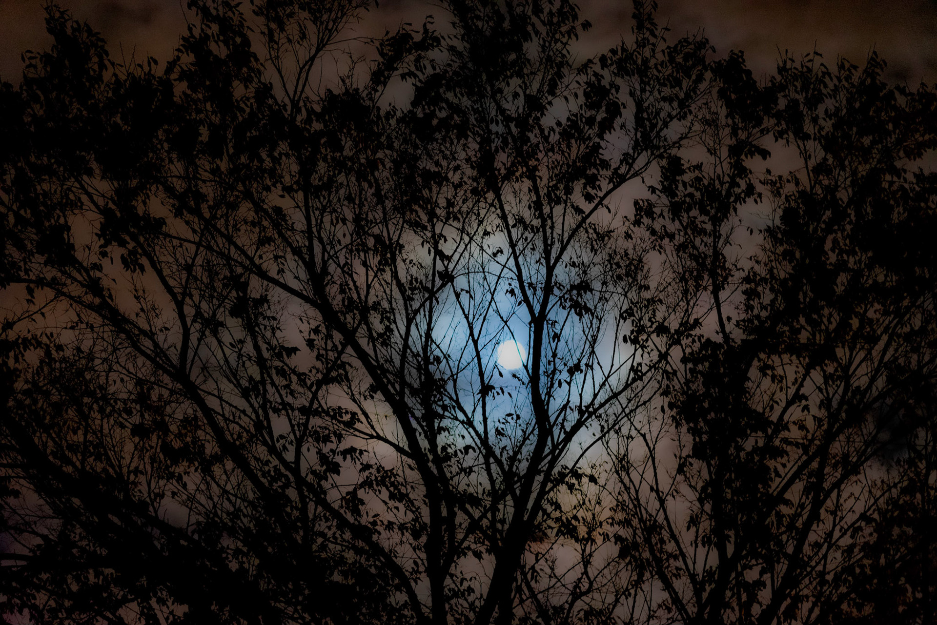 Moon from my deck - Fall 2020
