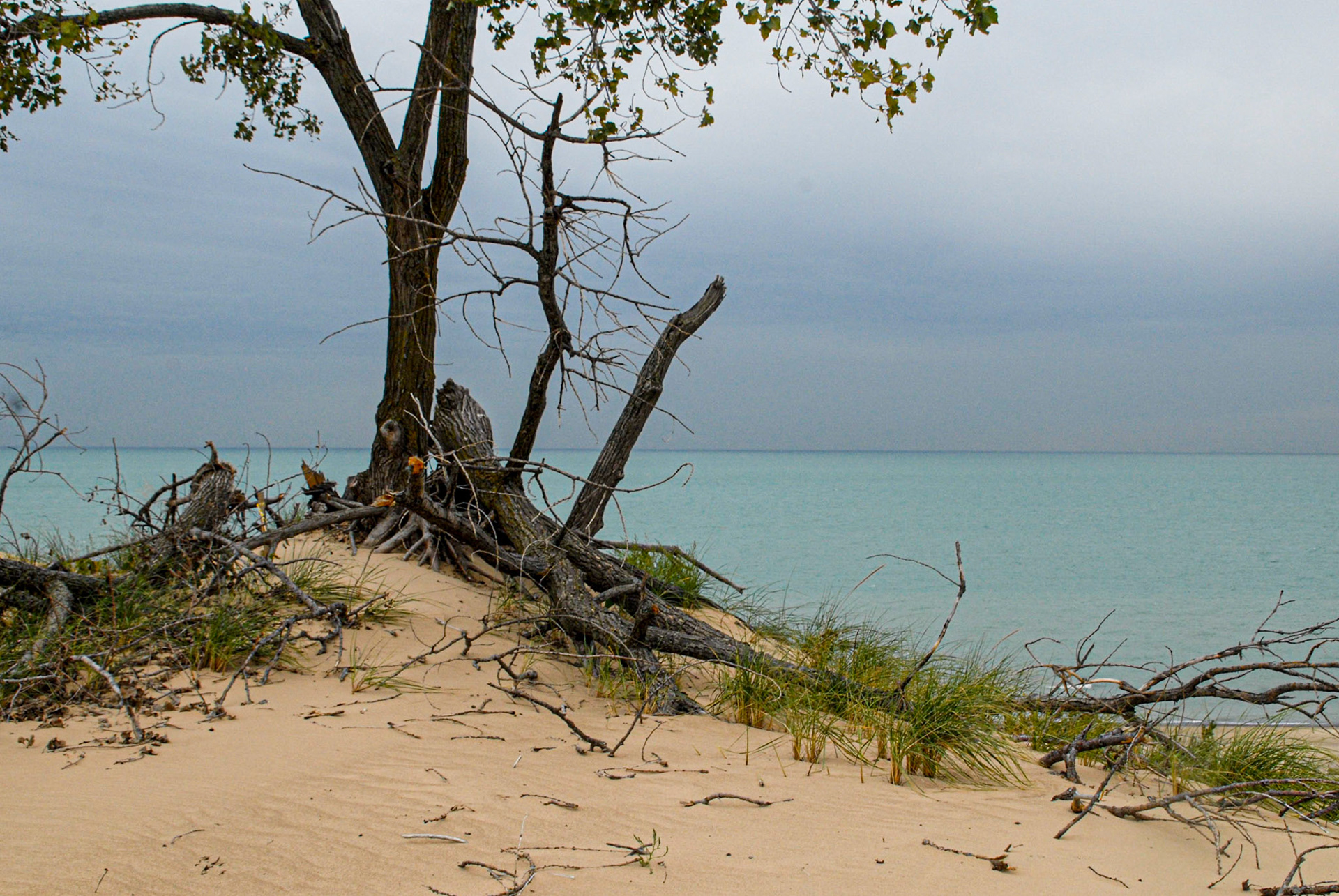 The Lake from Mt Baldy - Indiana Nat's Lakeshore - Michigan City IN