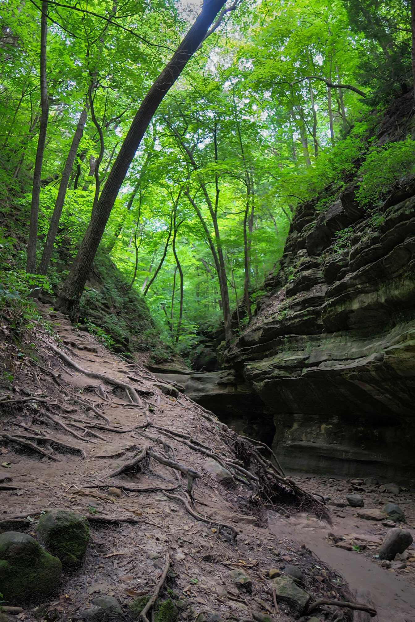 Upper Dells - Matthiessen SP - Utica IL, August 2020