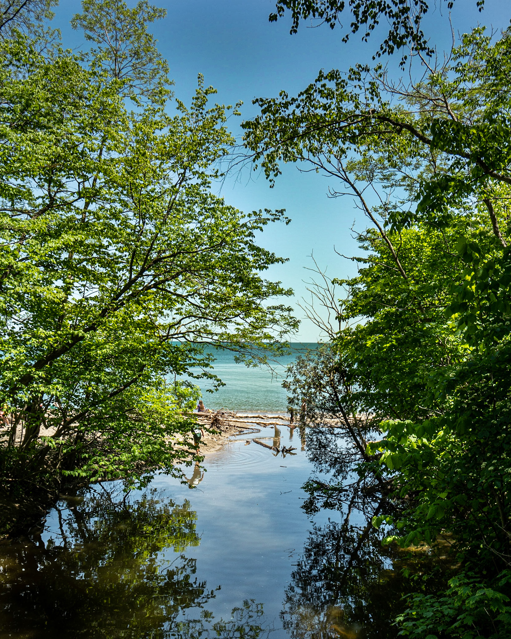 View from a bridge - Seven Bridges trail - Grant Park,  Milwaukee WI