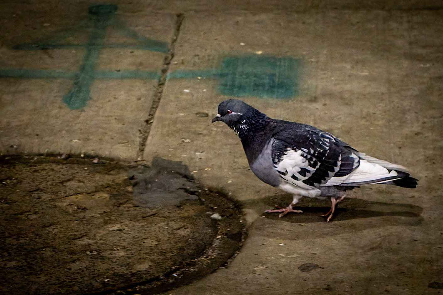 Chicago!  Lower Randolph St, Dec 2021