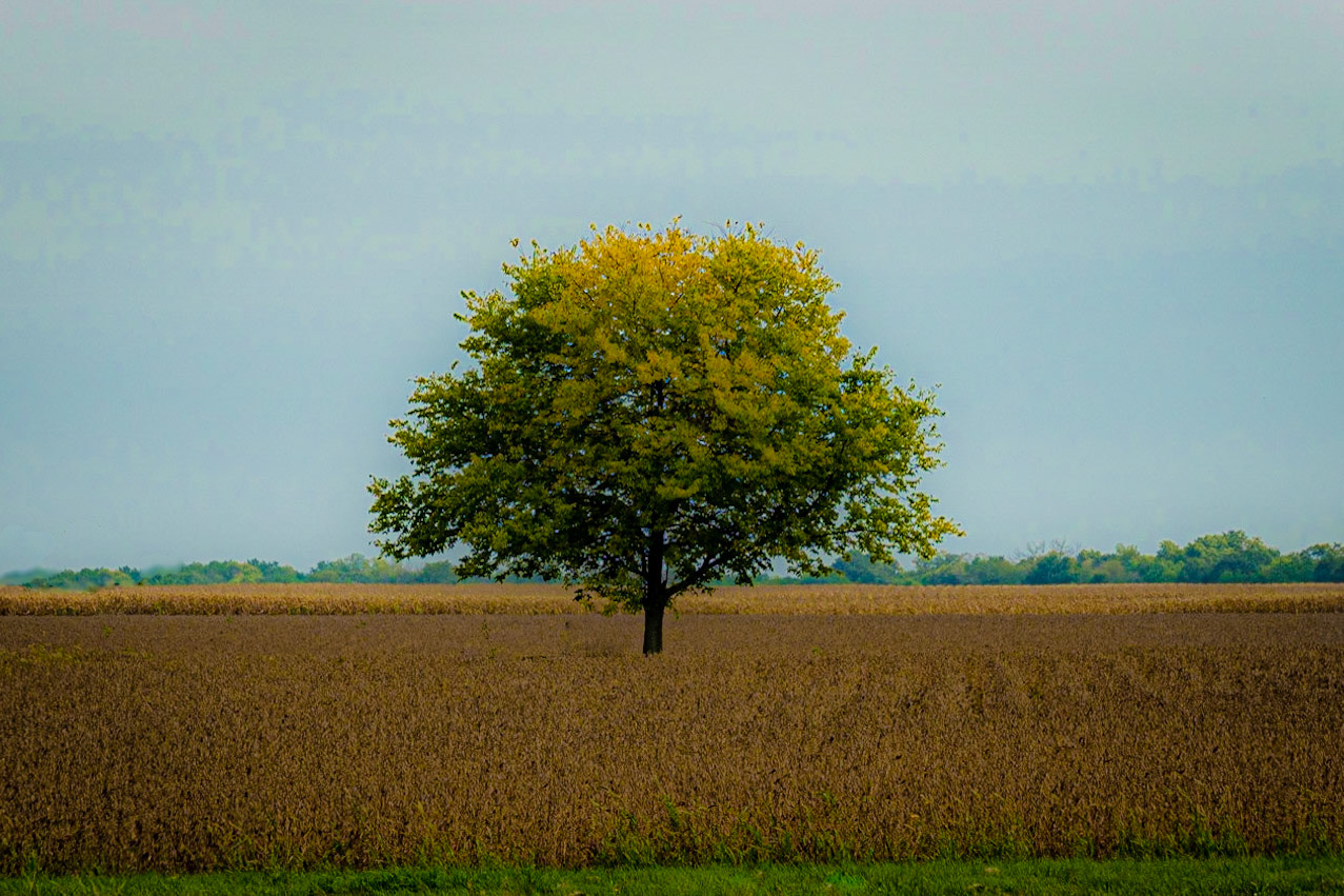 Utica, IL  September 2020