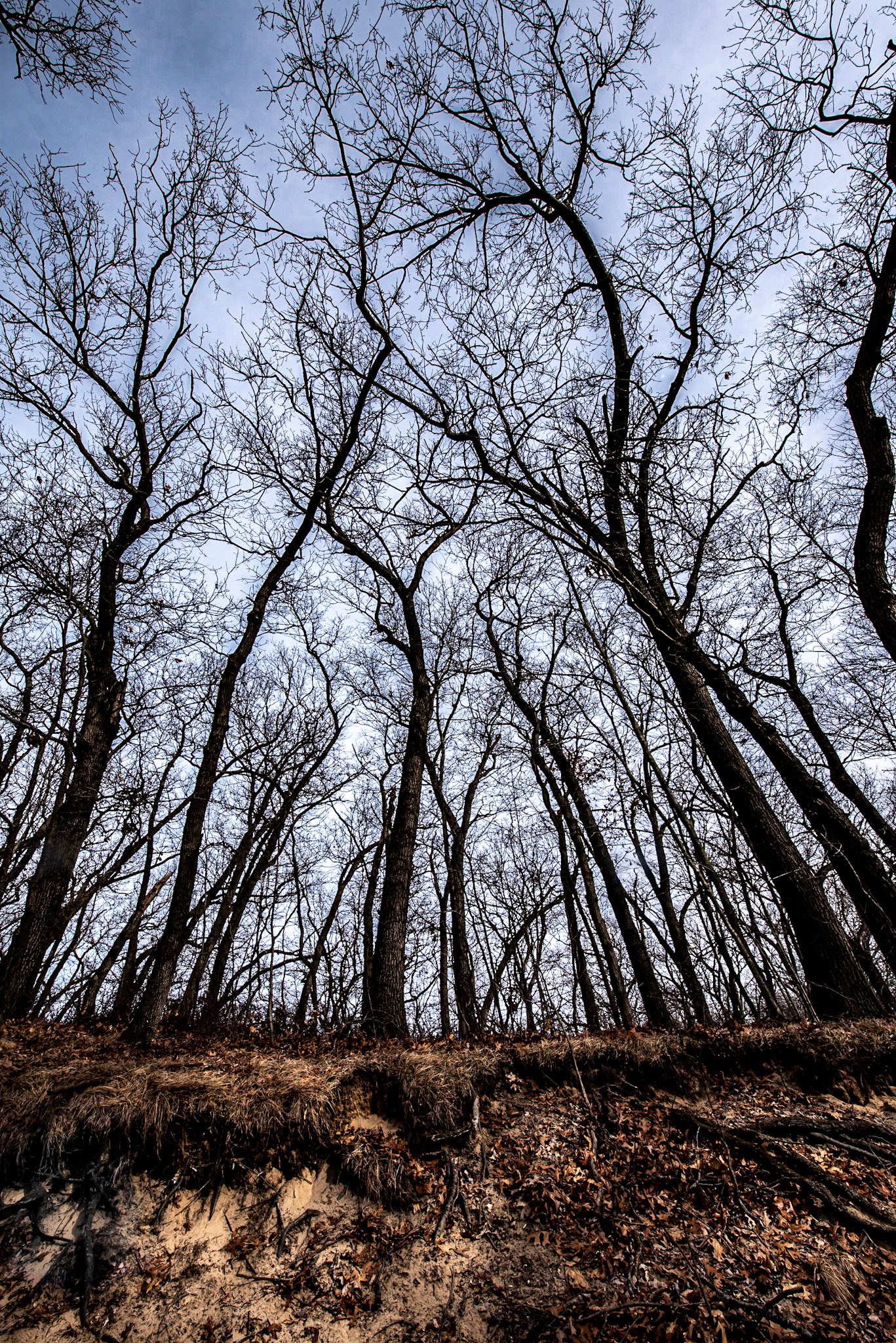 Indiana Dunes SP - February 2020