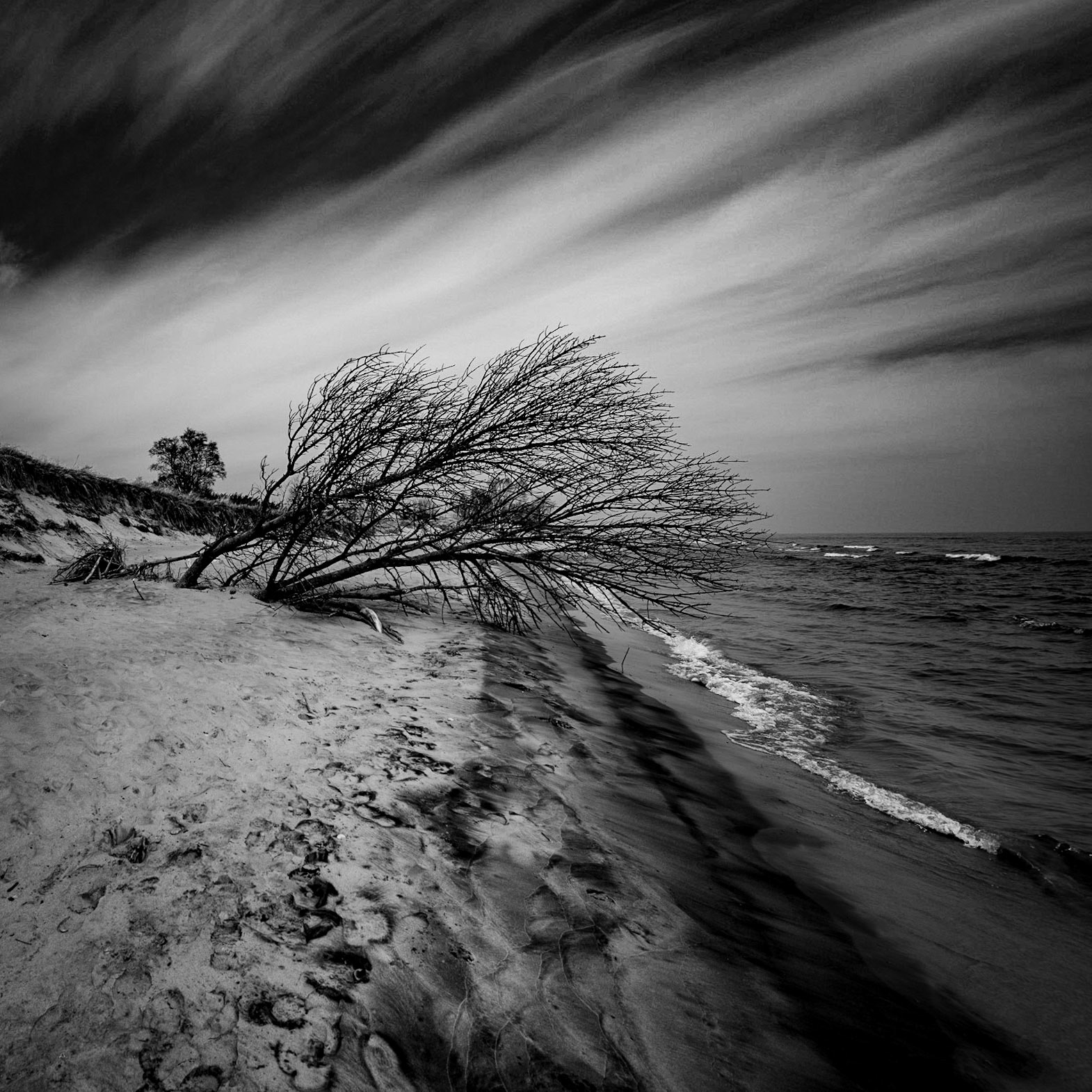 Kohler Andrea SP, Sheboygan WI 2021