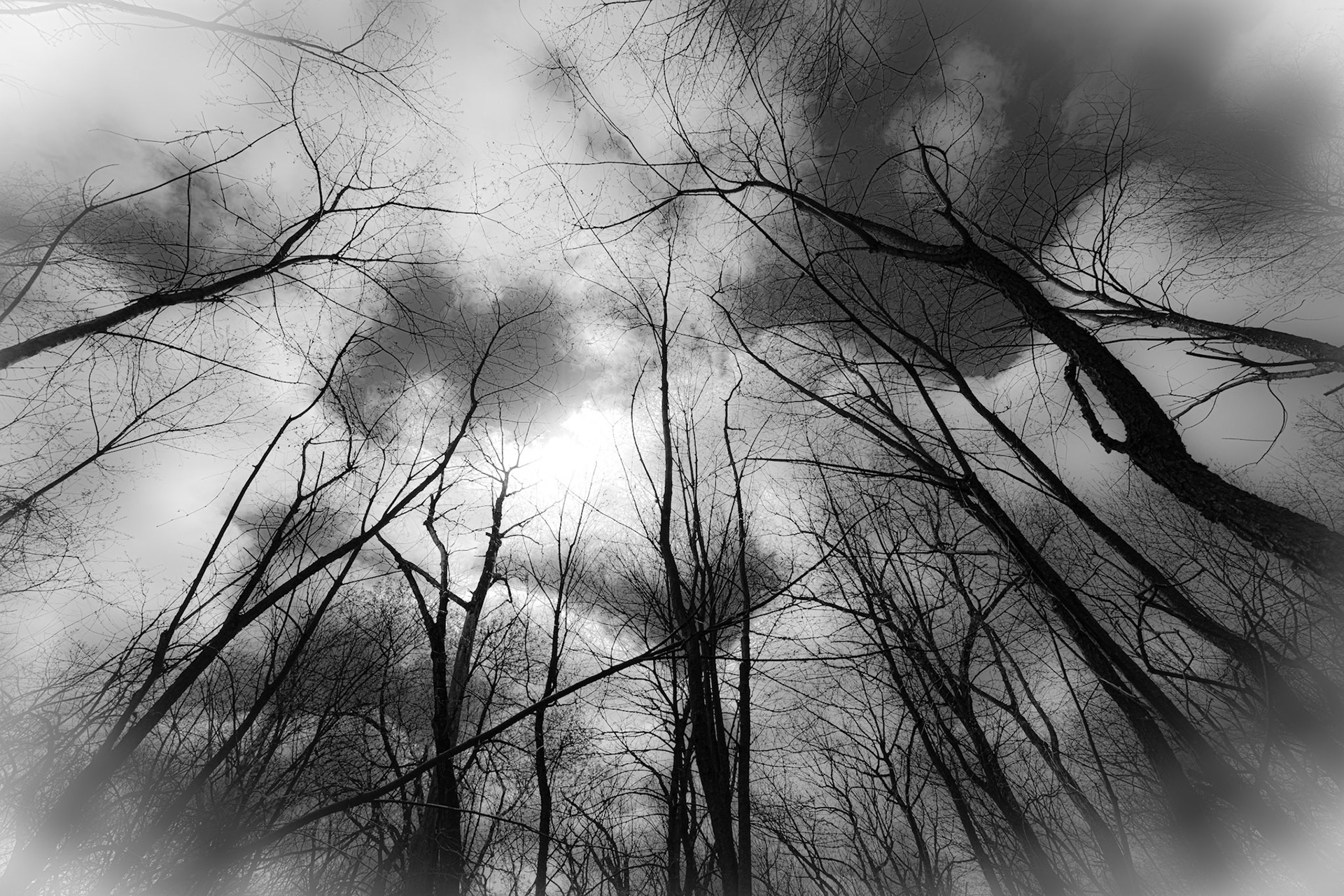 Lapham Peak SP, WI  April 2021