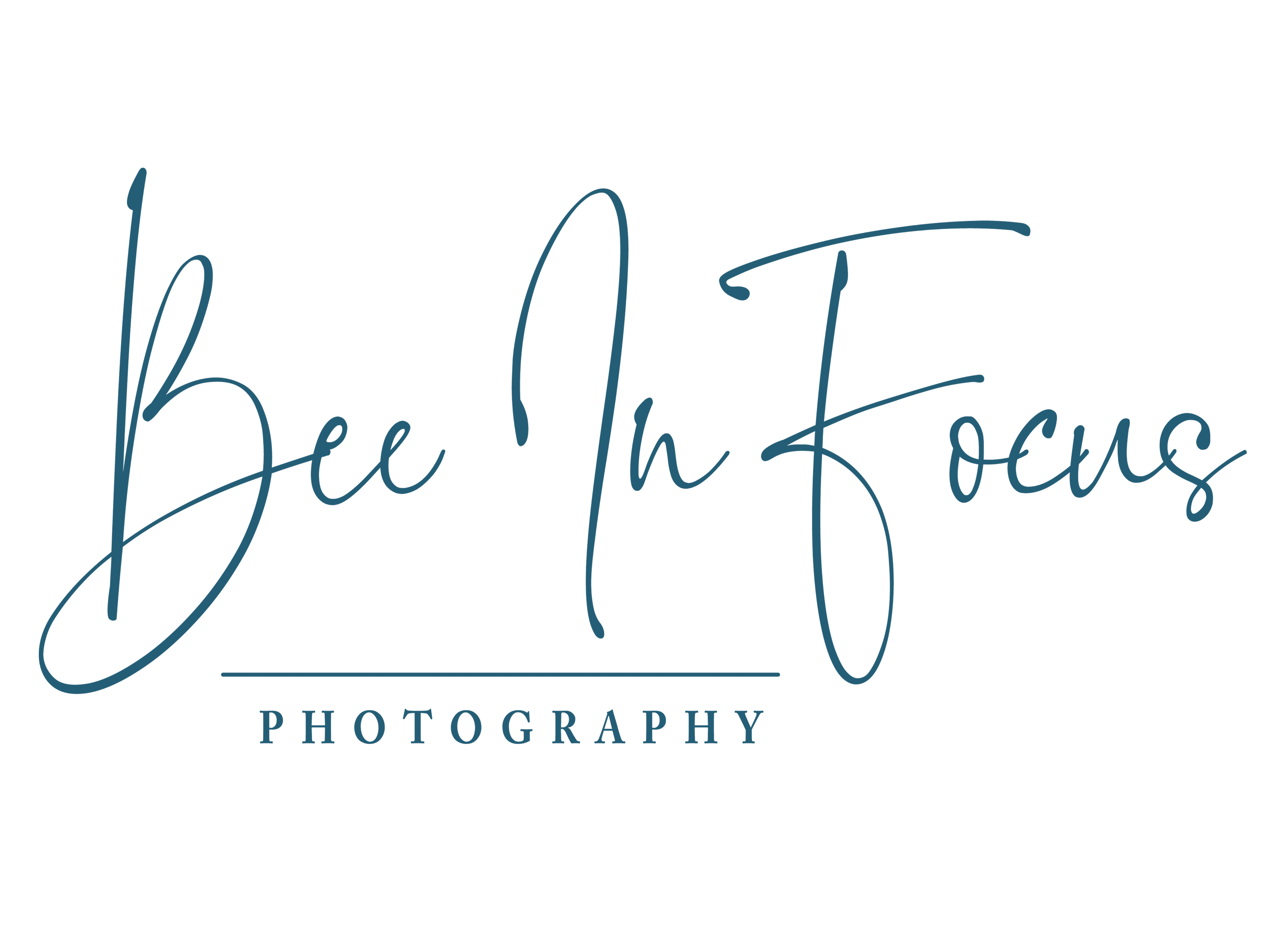 Bee In Focus