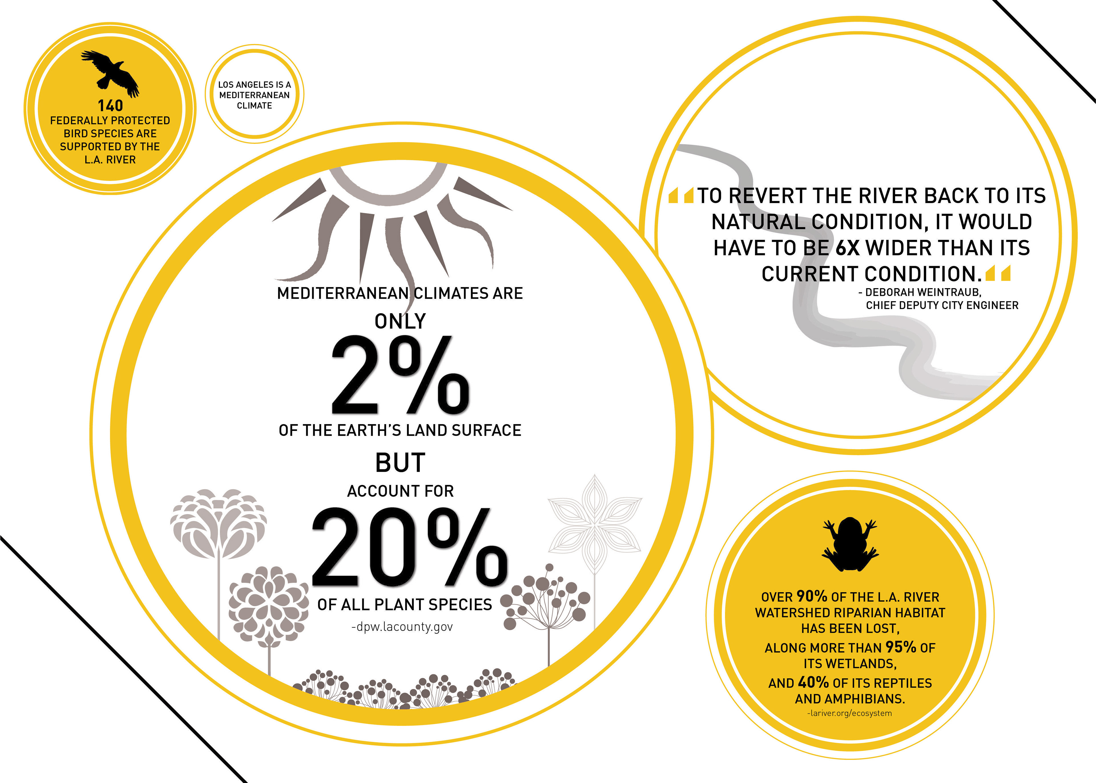Info-graphic showing the river's role in the environment.