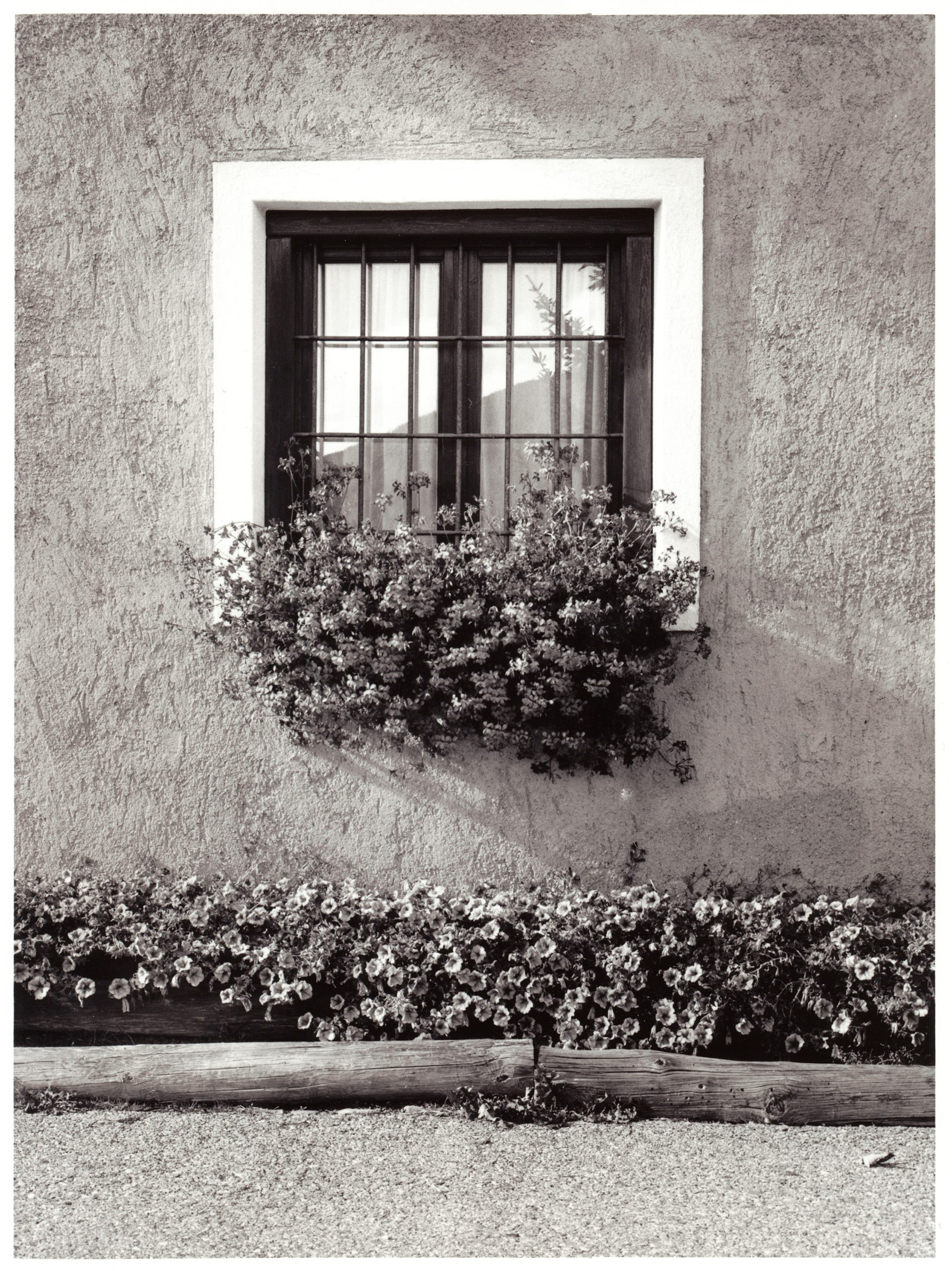 Balcone fiorito - Silver Gelatin print