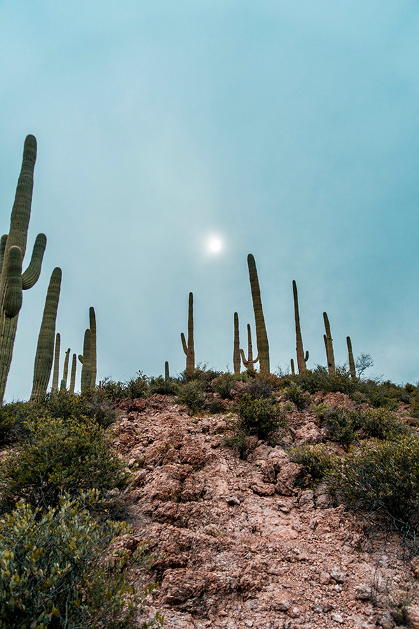 RAM Photo Graphics - Wallpapers