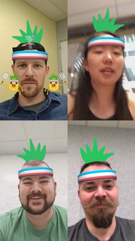 Pineapple Badminton