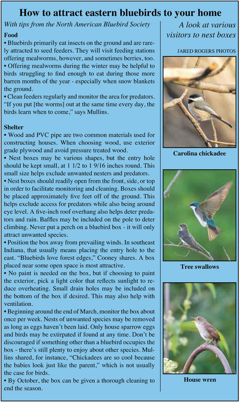 This pullout box accompanied the feature story on its carryover page.