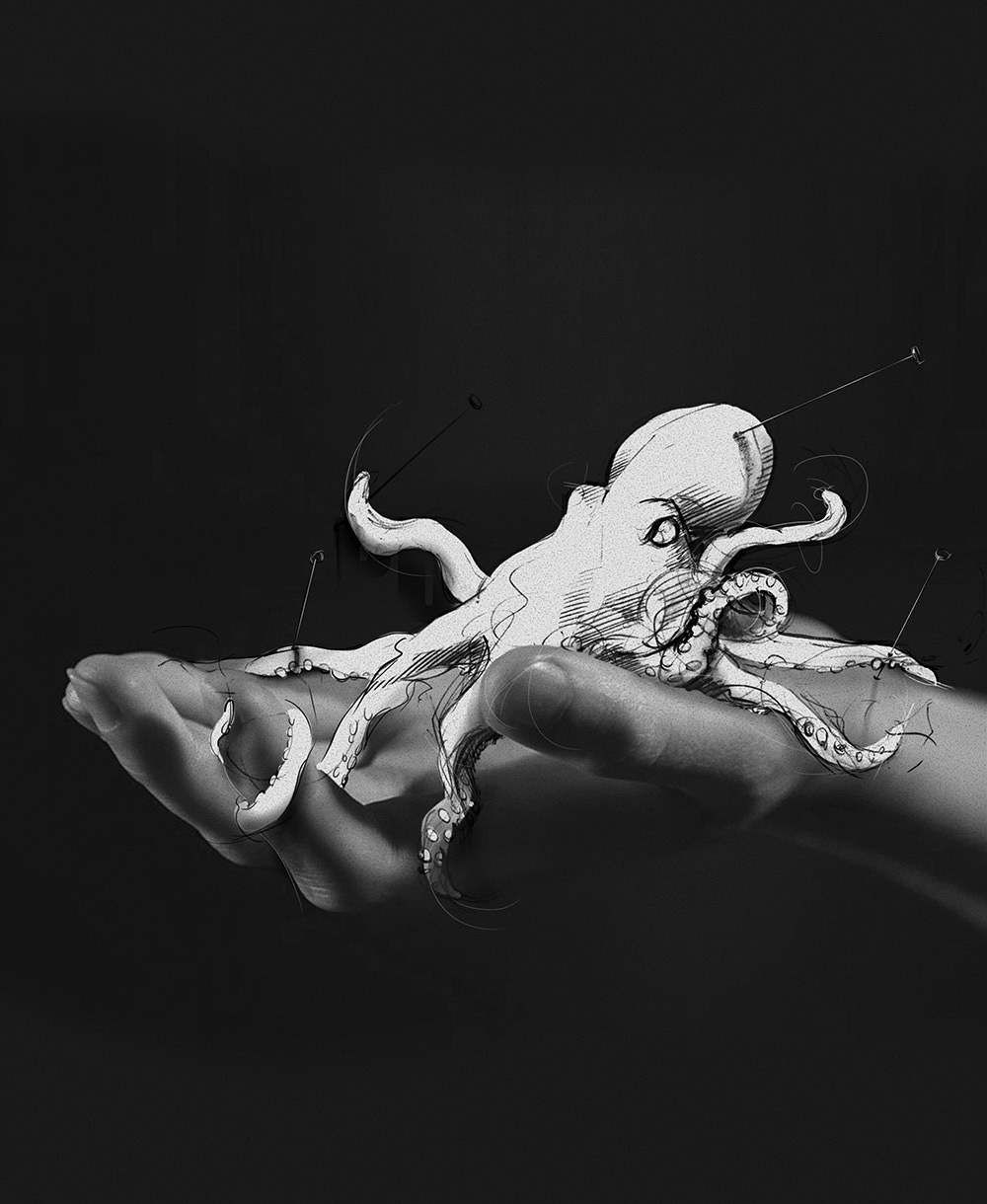 OCTOPUS ILLUSTRATION