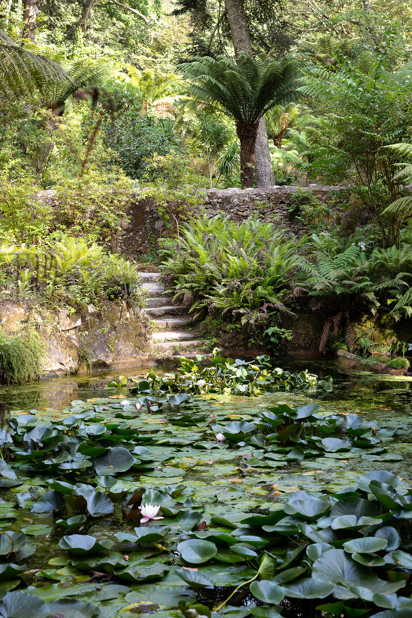 Parque da Pena