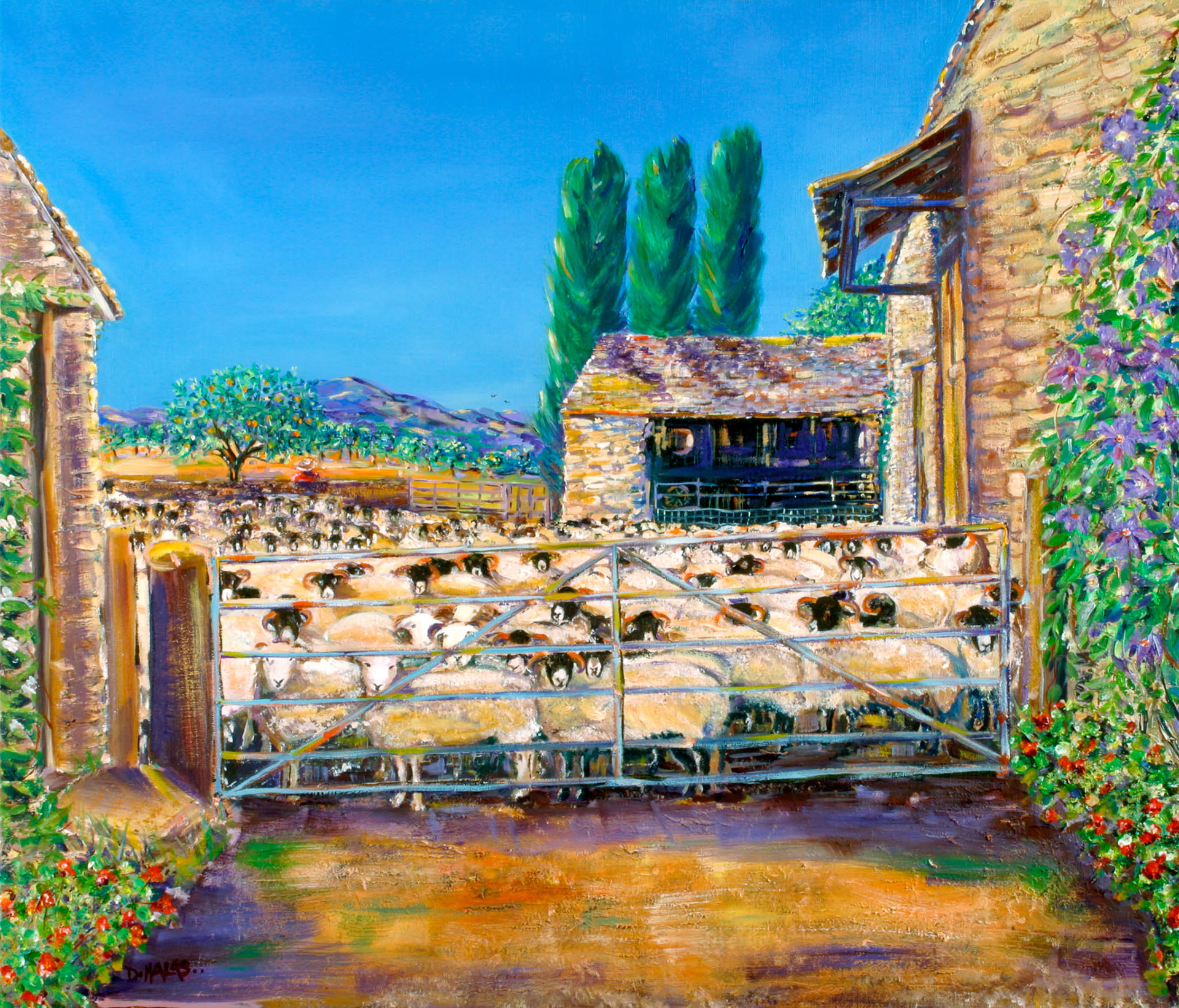 SUMMERTIME SHEEP. From an original painting by Diana Aungier-Rose. Print size: 21cm x 29cm. Frame size: 35cm x 45cm. For sale: £49