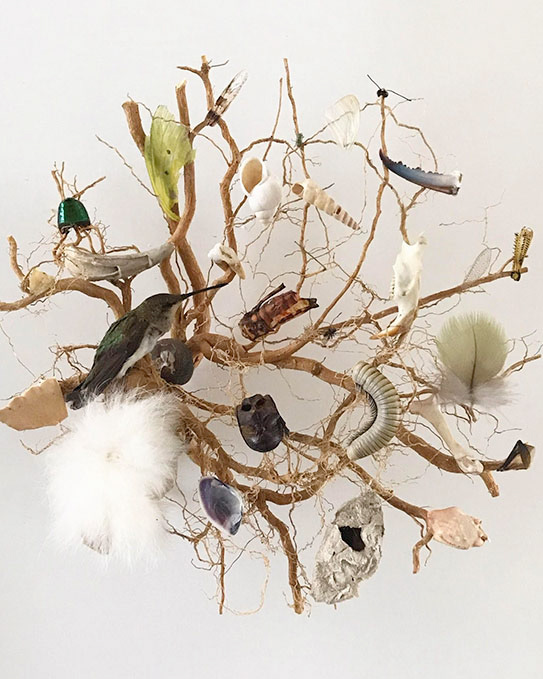 Restos. Materia orgánica, resinas, caja de luz, 45 x 45 x 18 cm, 2019.