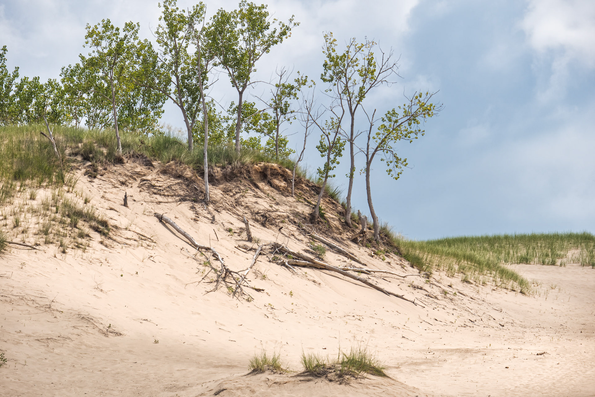 MI Dunes 00014