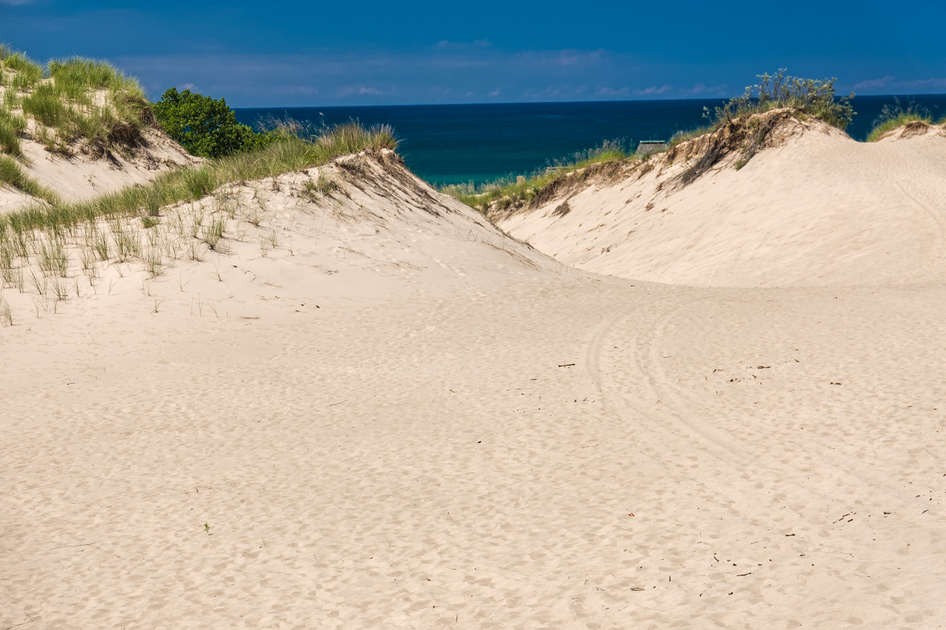 MI Dunes 00049