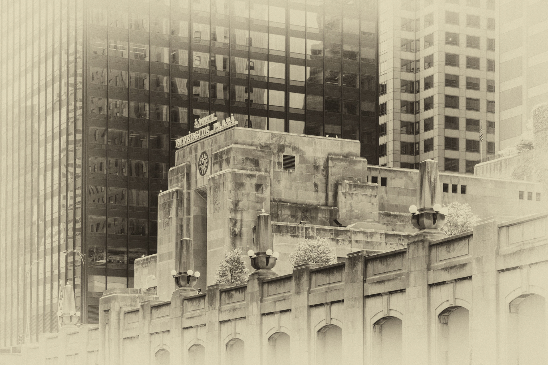 Black & White 00214
