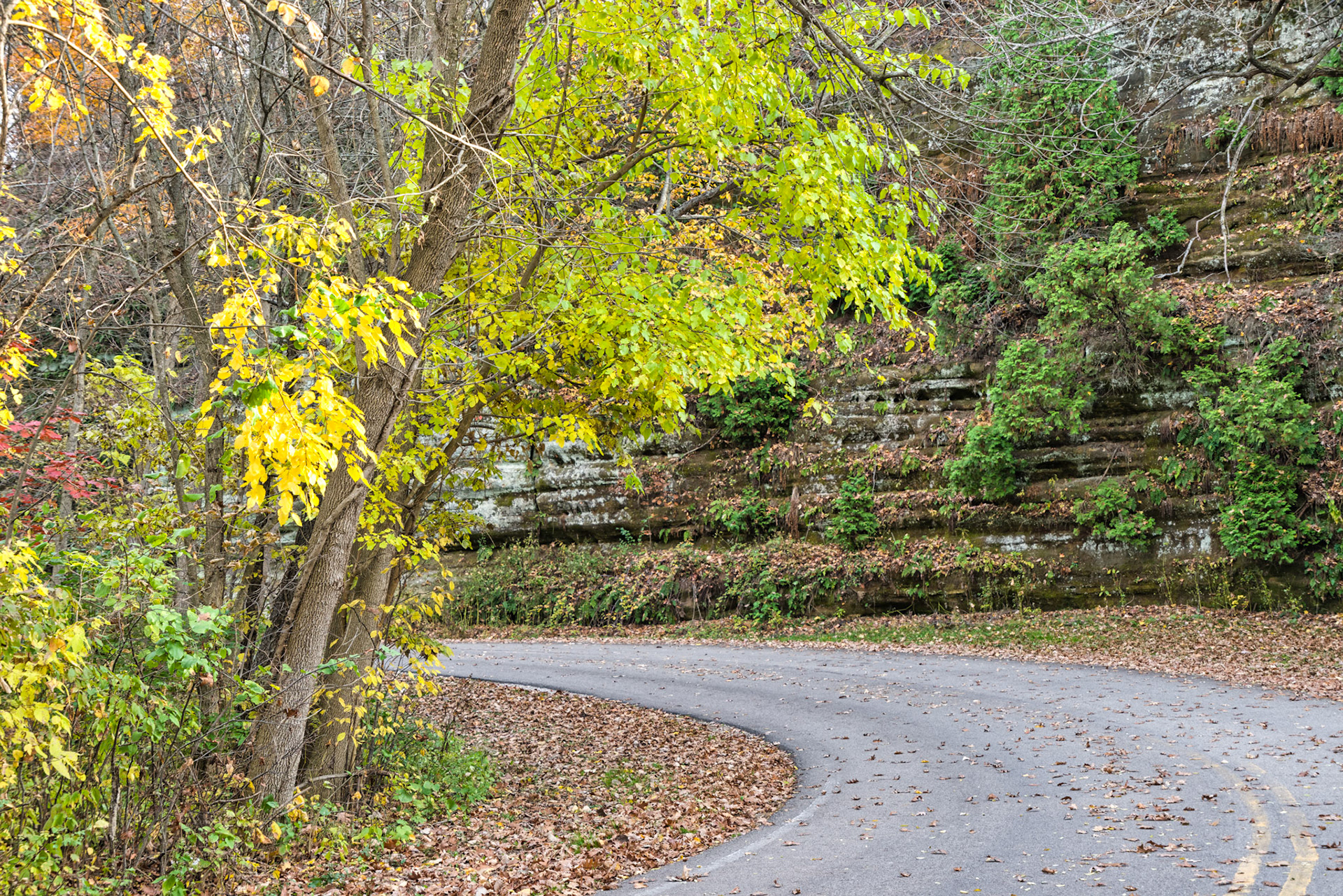 IL Starved Rock 00058