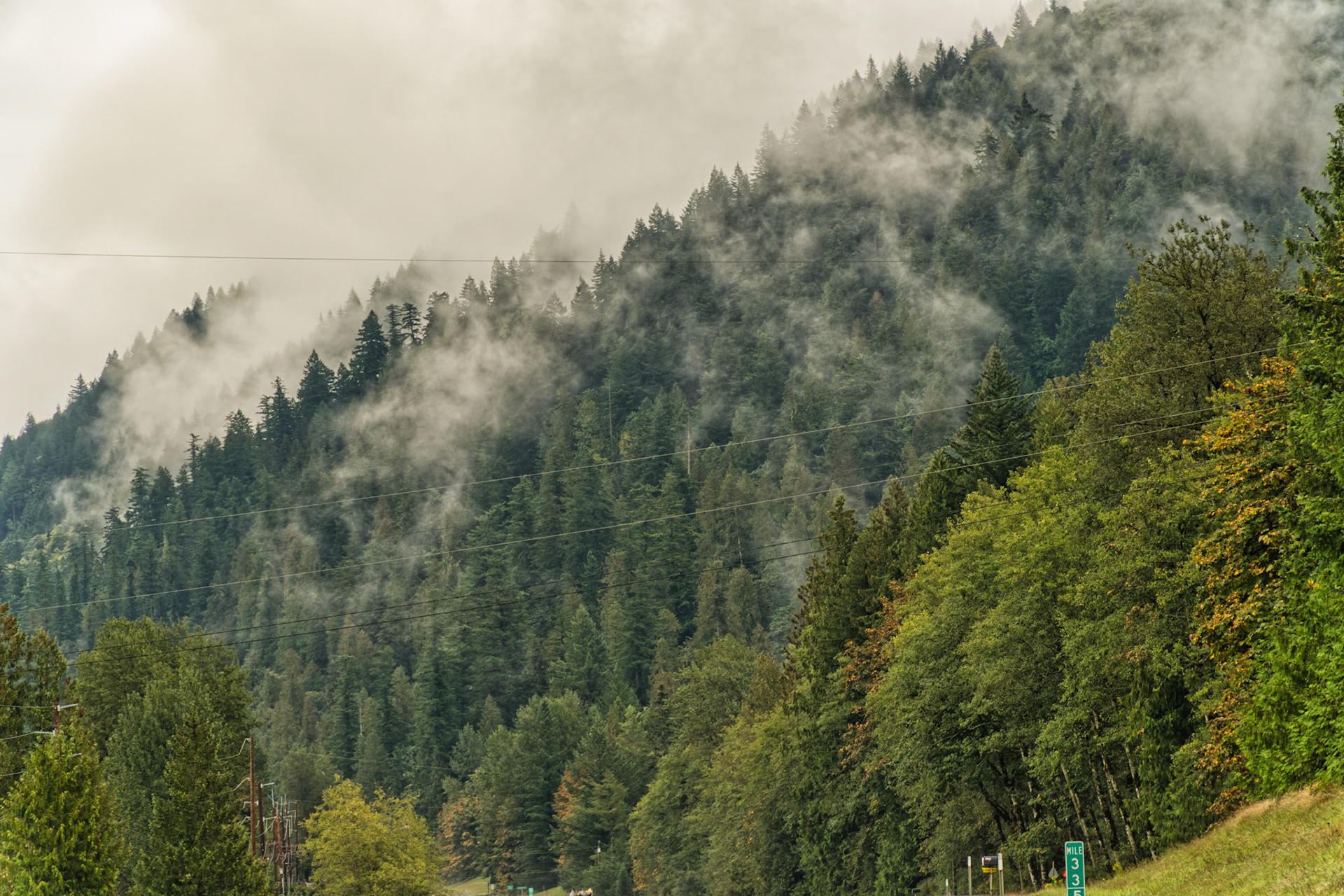 OR Mt Hood 00004