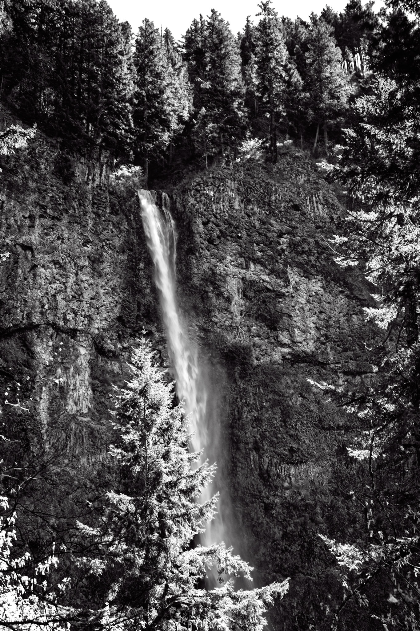 Black & White 00162