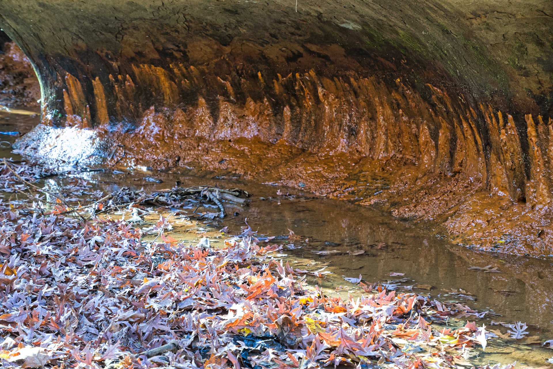 IL Starved Rock 00016