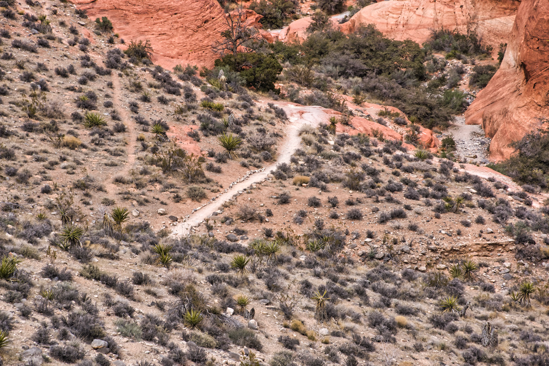 NV Desert 00189