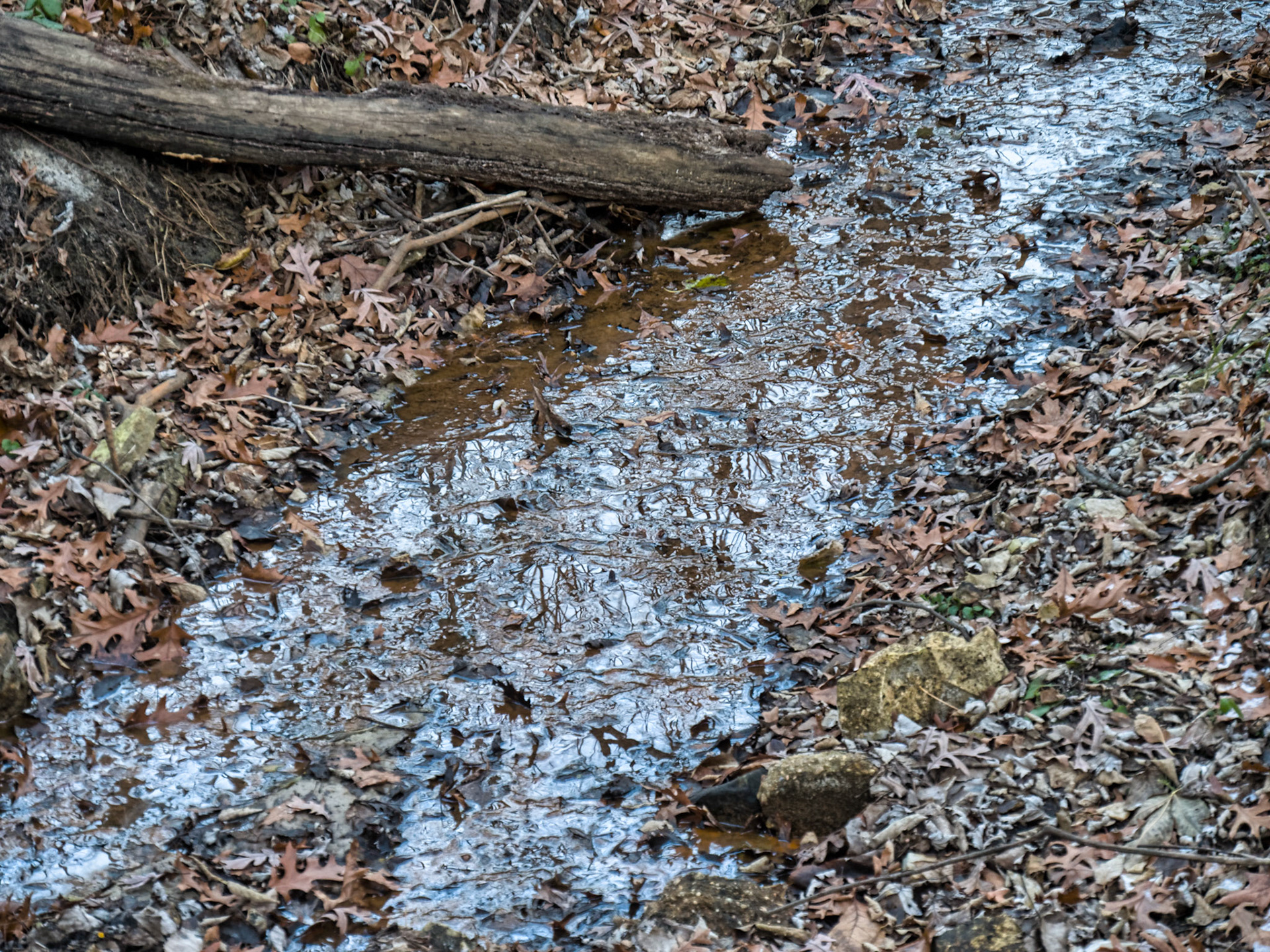 IL Starved Rock 00076